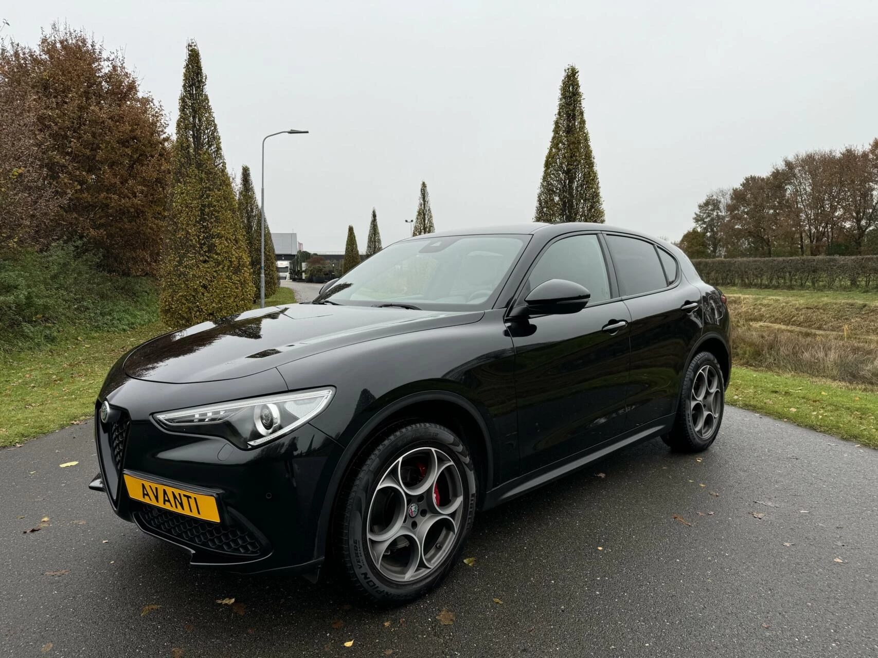 Hoofdafbeelding Alfa Romeo Stelvio