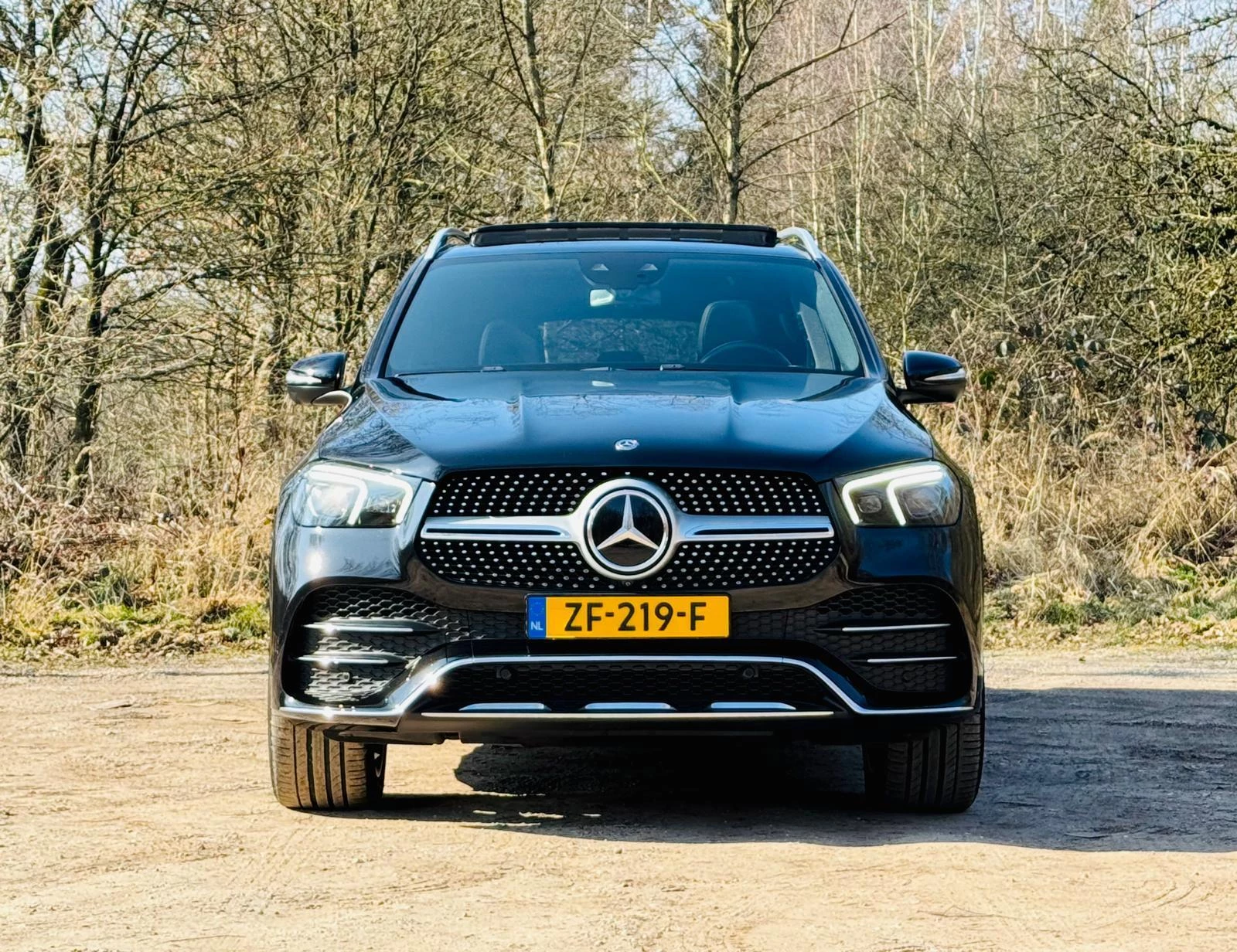 Hoofdafbeelding Mercedes-Benz GLE