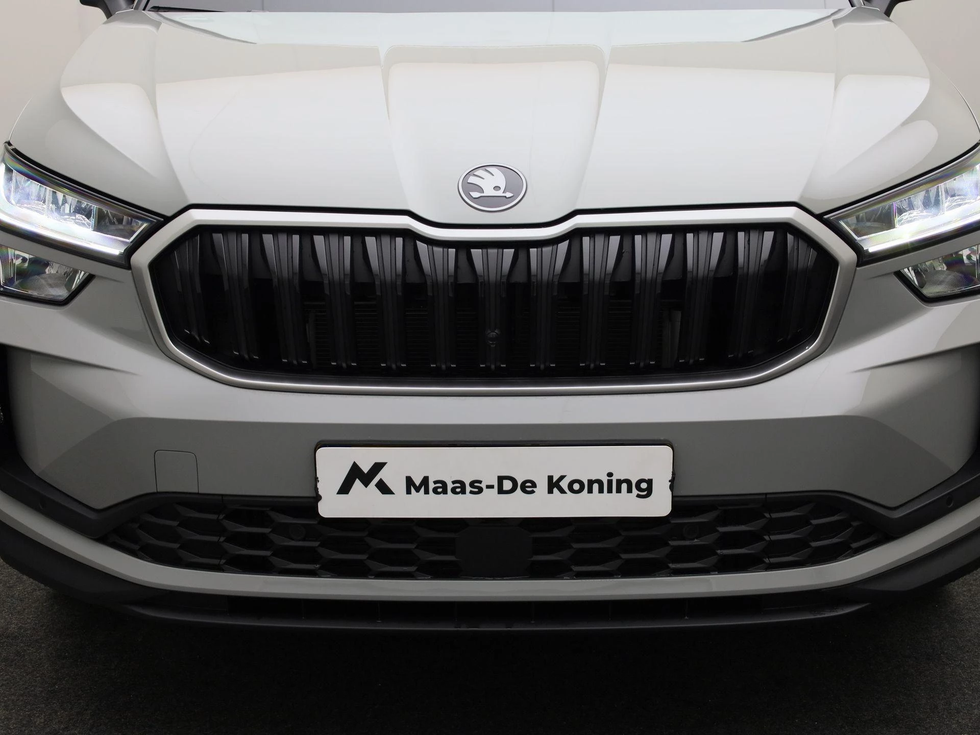 Hoofdafbeelding Škoda Kodiaq