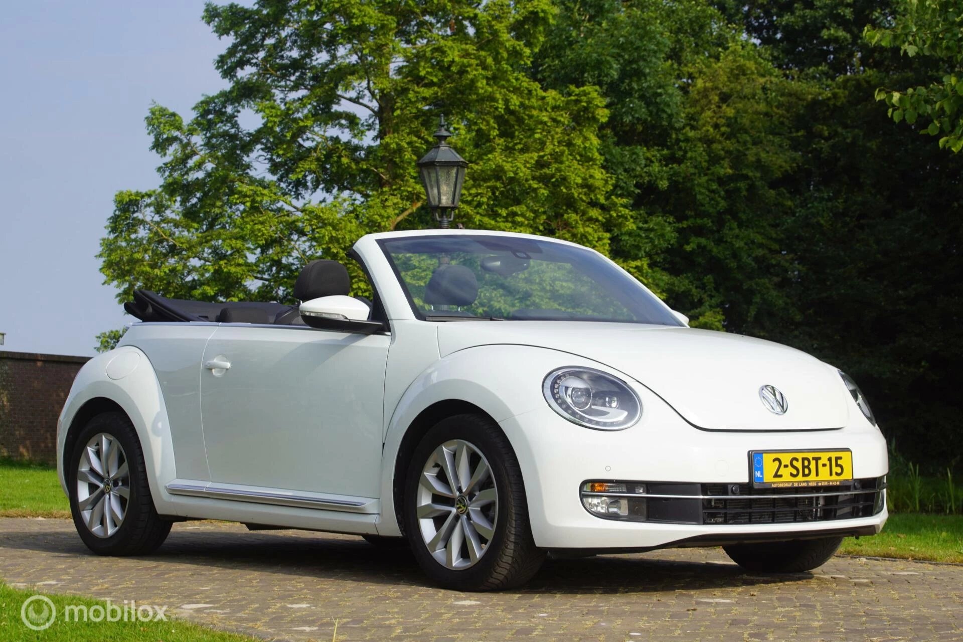 Hoofdafbeelding Volkswagen Beetle