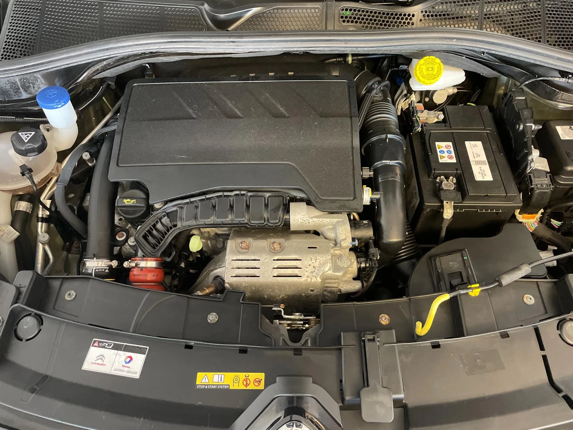 Hoofdafbeelding Citroën C4 Cactus