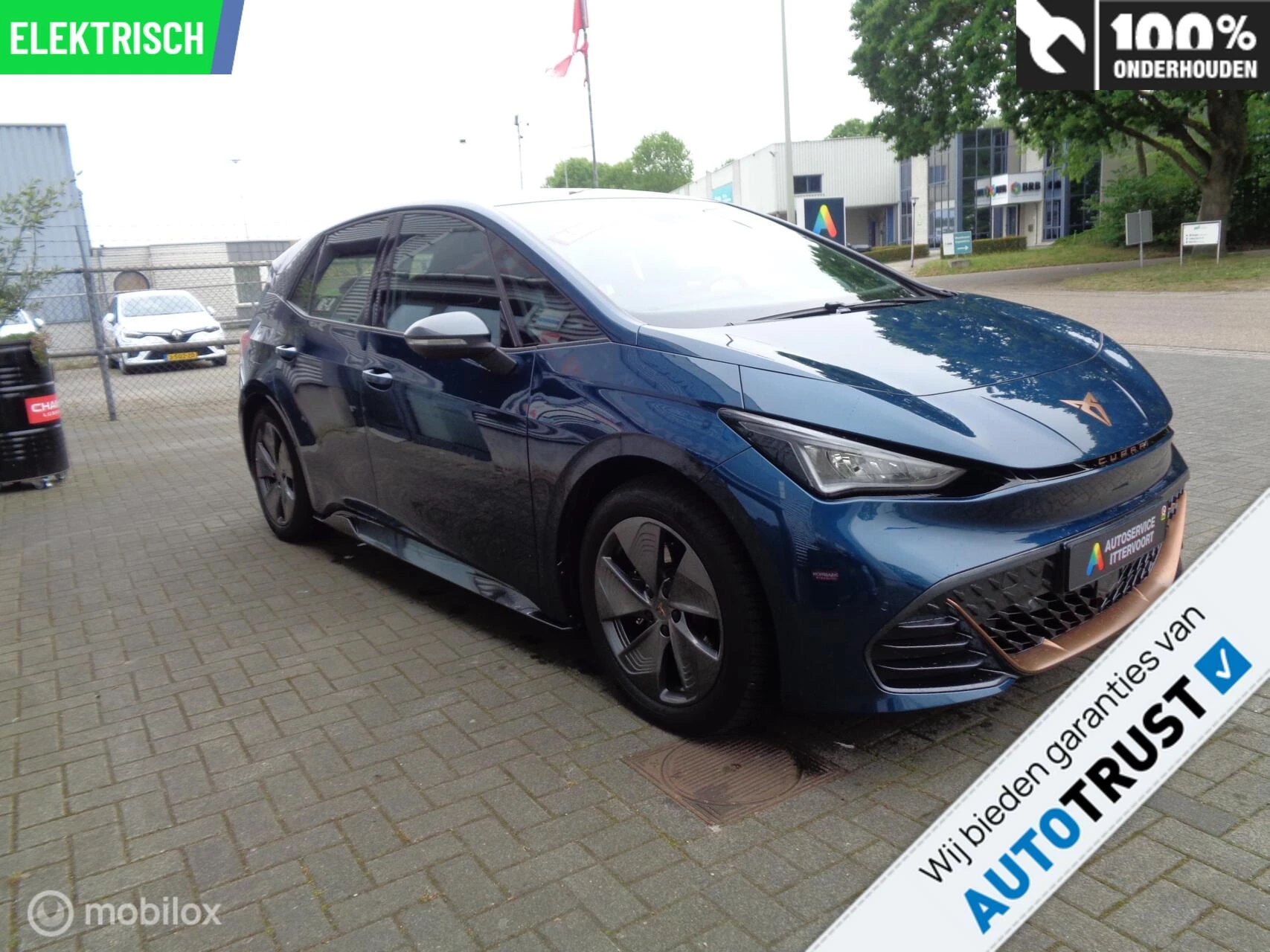 Hoofdafbeelding CUPRA Born