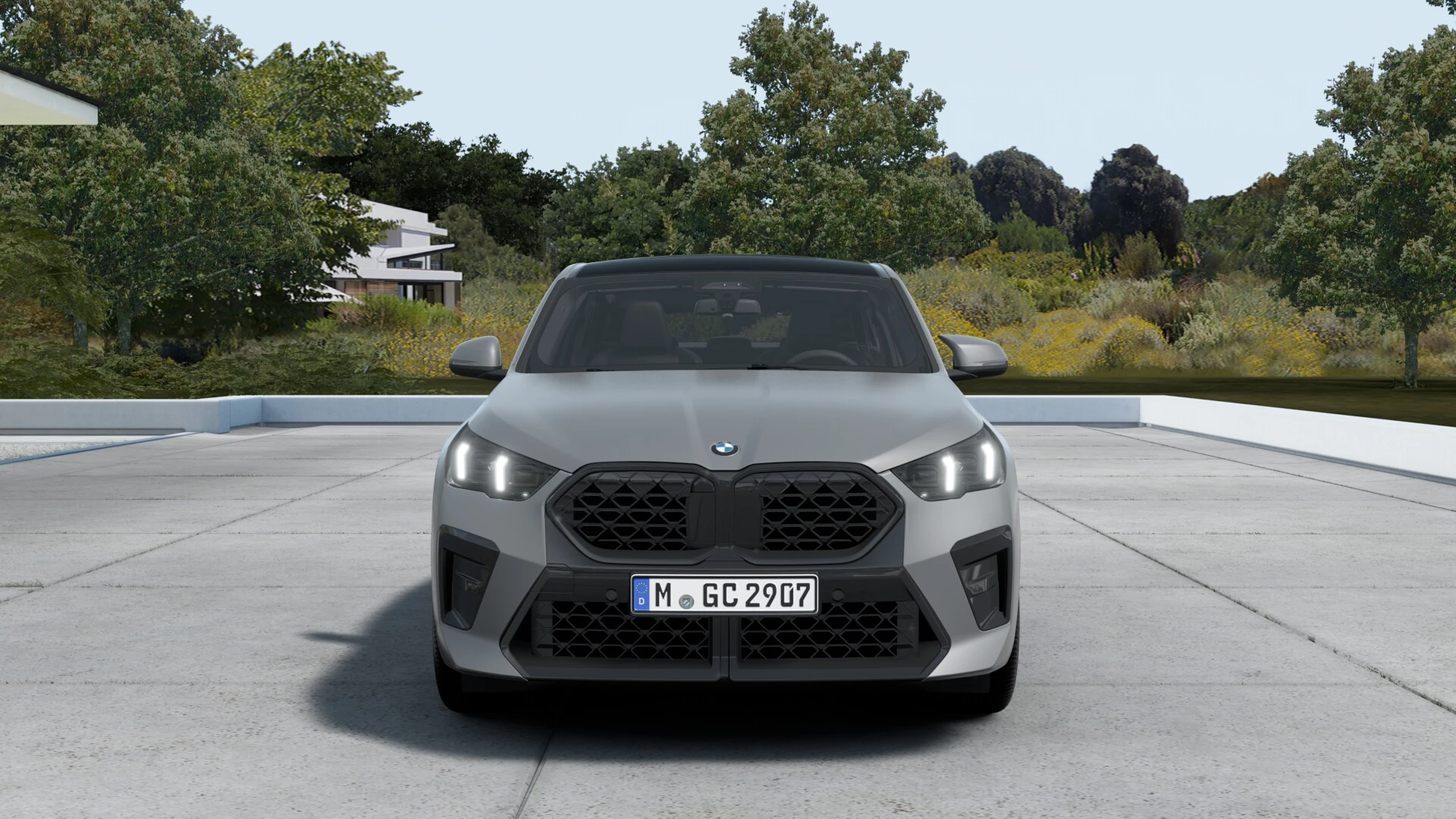 Hoofdafbeelding BMW X2