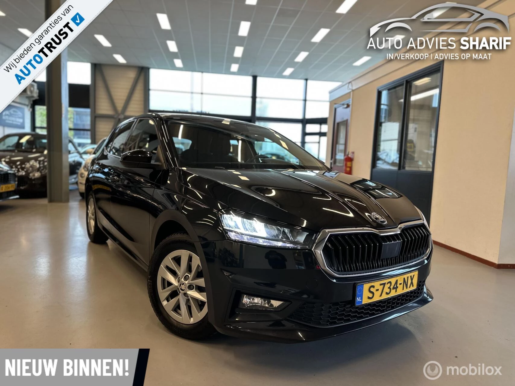 Hoofdafbeelding Škoda Fabia