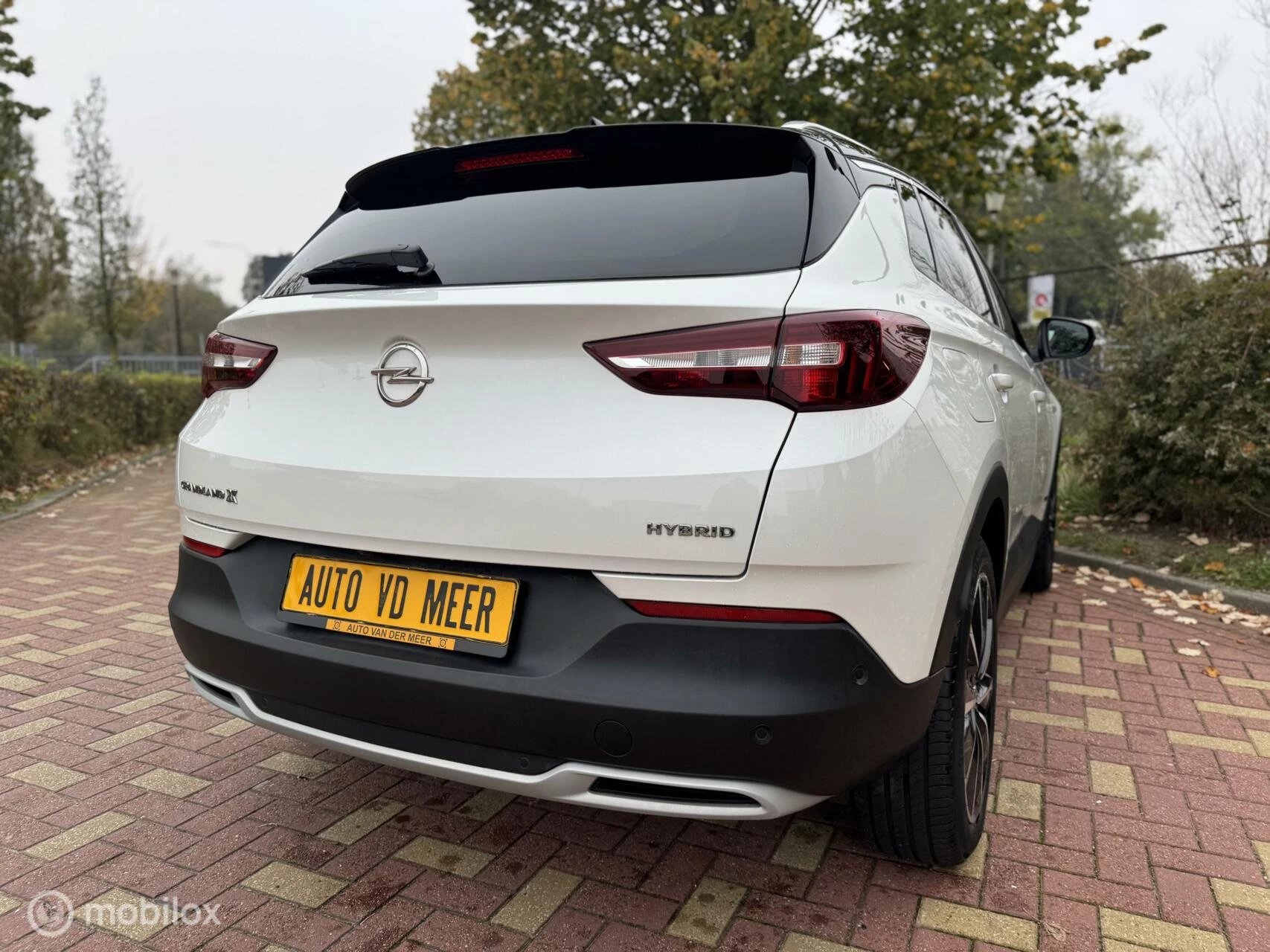 Hoofdafbeelding Opel Grandland X