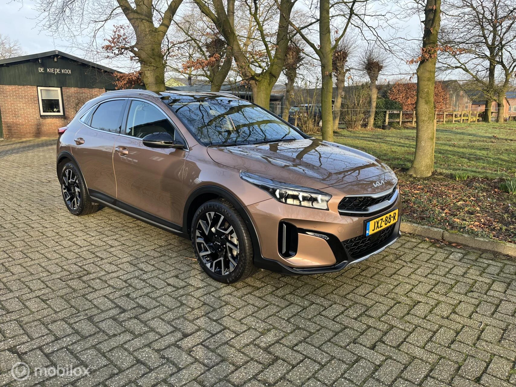 Hoofdafbeelding Kia XCeed
