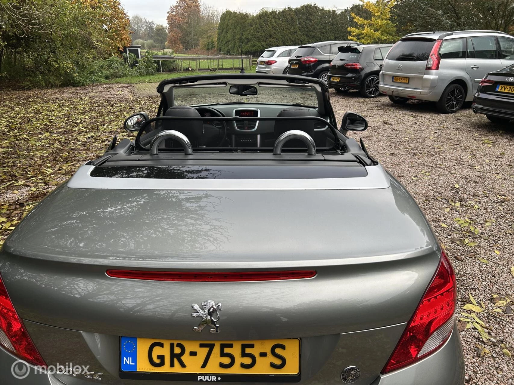 Hoofdafbeelding Peugeot 207