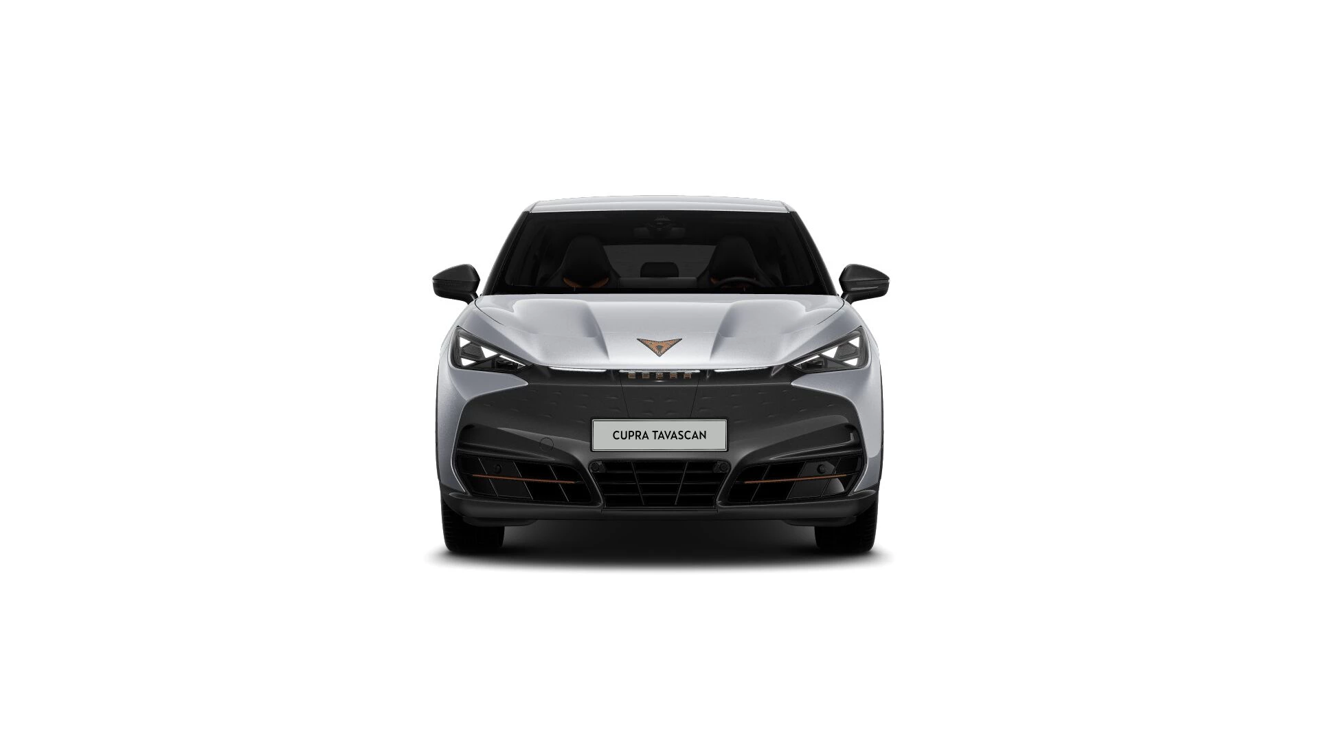 Hoofdafbeelding CUPRA Tavascan
