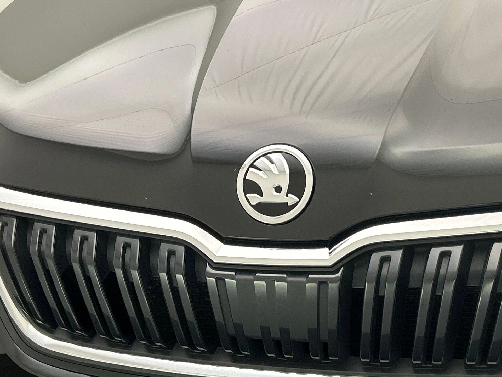 Hoofdafbeelding Škoda Kamiq