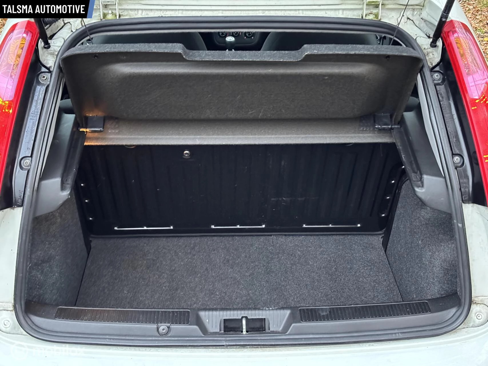 Hoofdafbeelding Fiat Punto