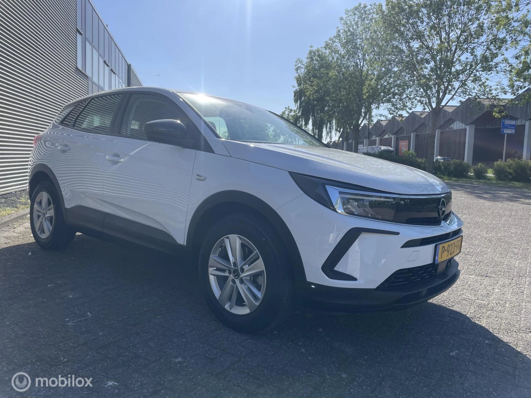 Hoofdafbeelding Opel Grandland