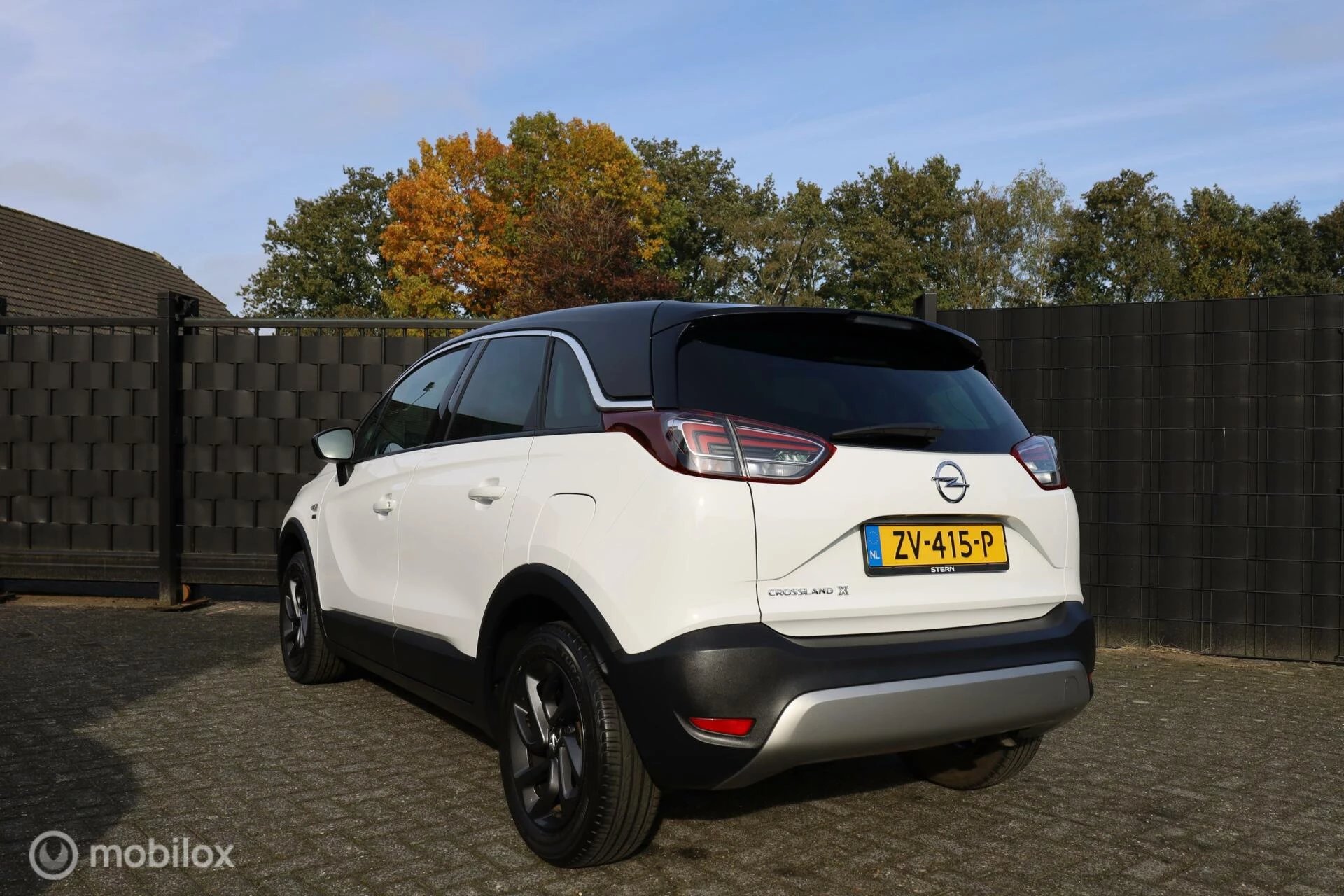 Hoofdafbeelding Opel Crossland X