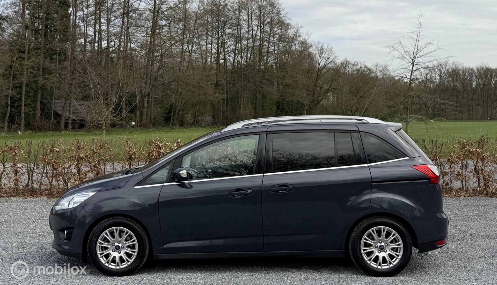 Hoofdafbeelding Ford Grand C-Max
