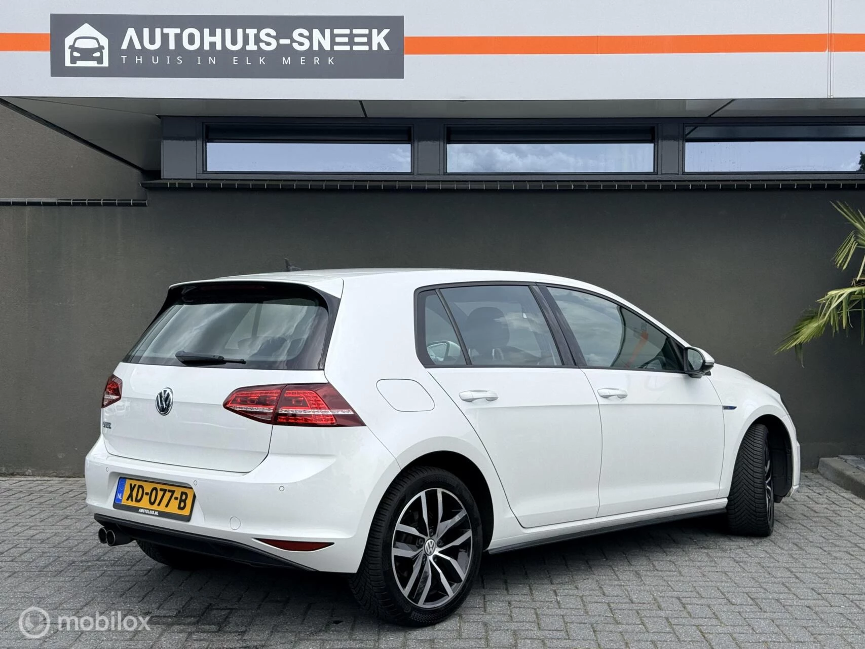Hoofdafbeelding Volkswagen Golf