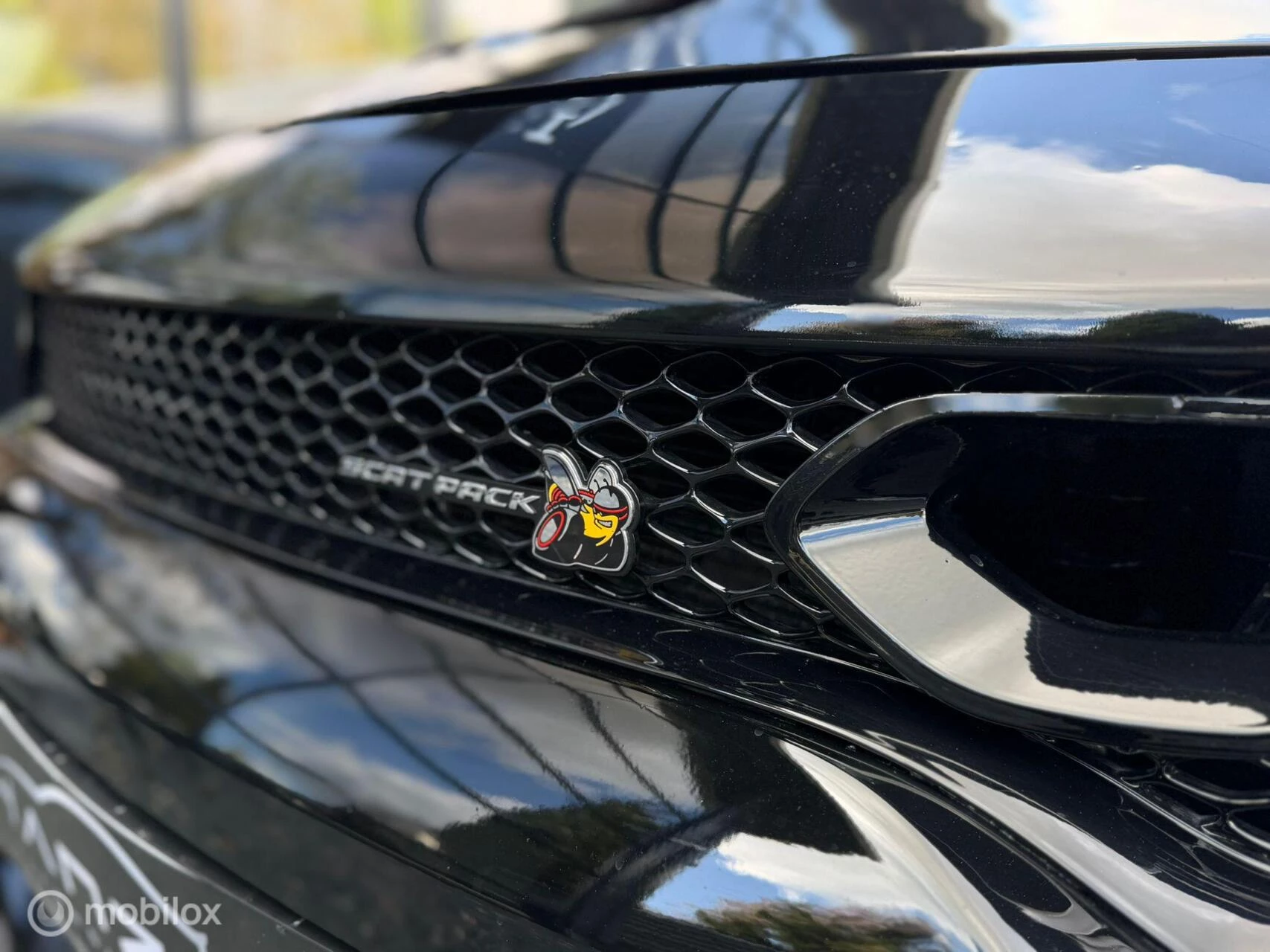 Hoofdafbeelding Dodge Charger