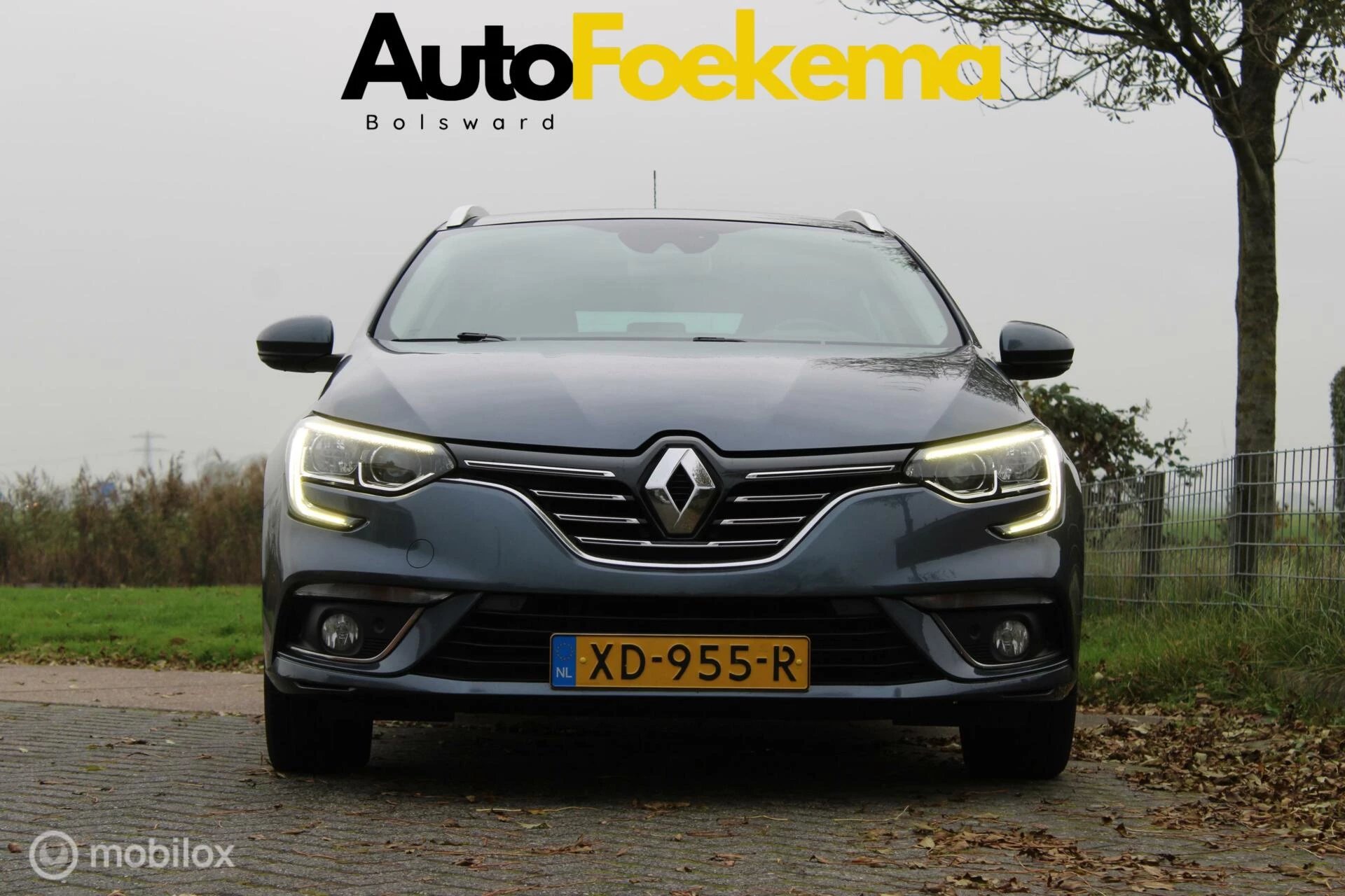 Hoofdafbeelding Renault Mégane