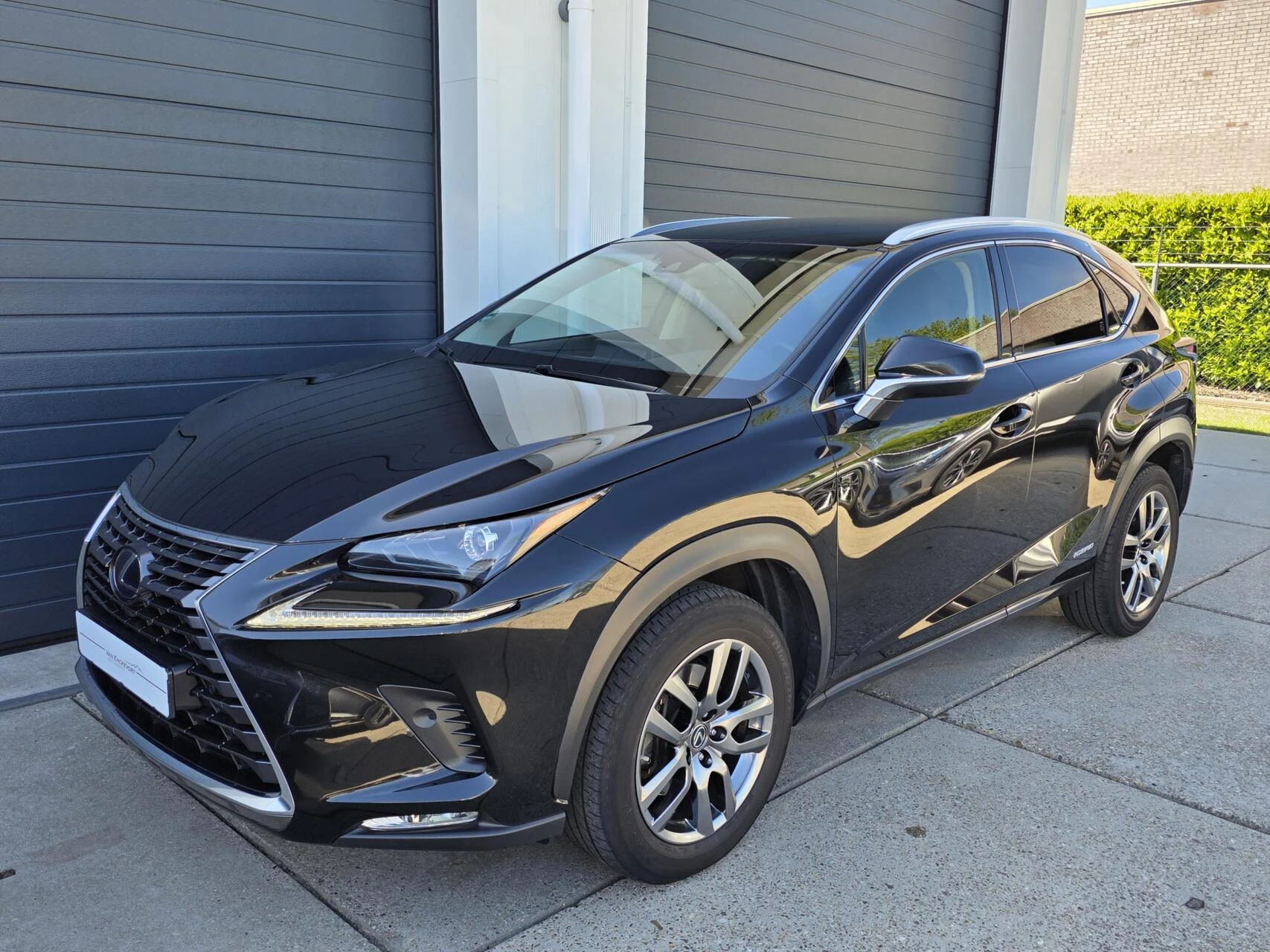 Hoofdafbeelding Lexus NX