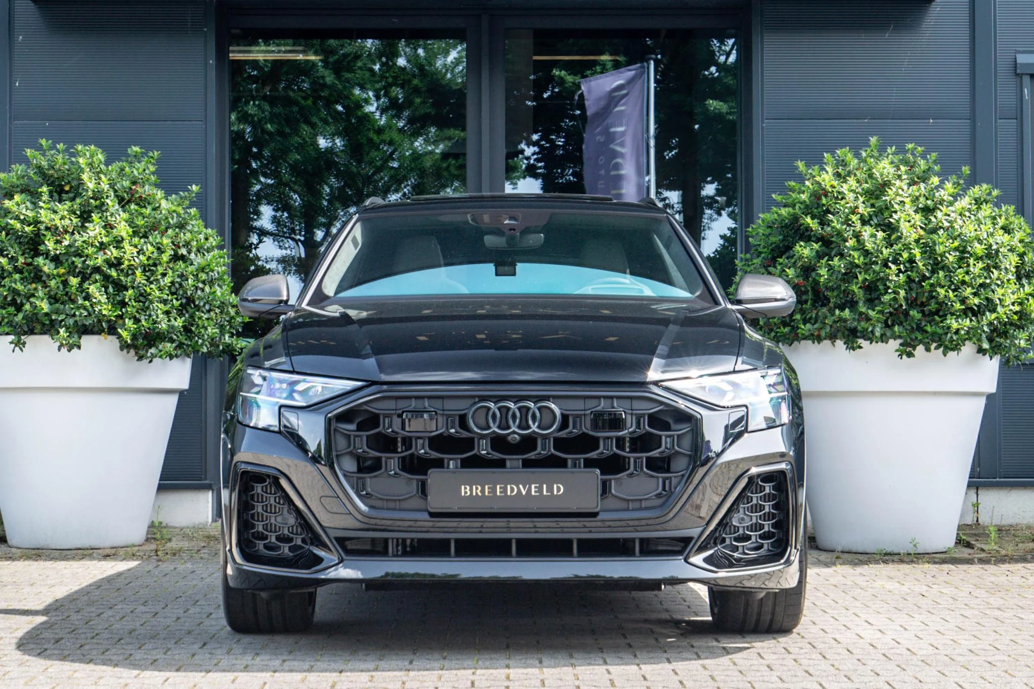 Hoofdafbeelding Audi Q8