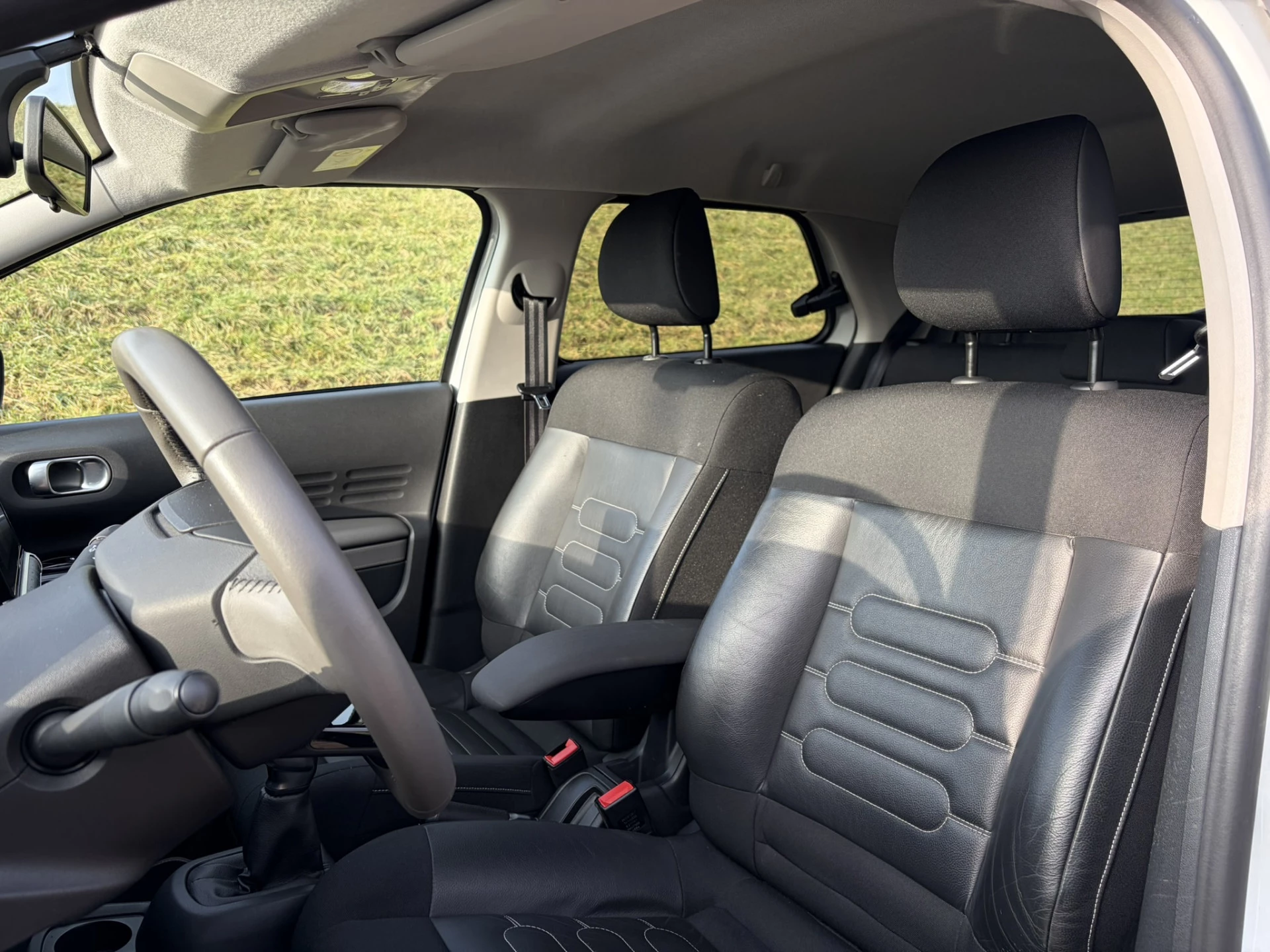 Hoofdafbeelding Citroën C4 Cactus