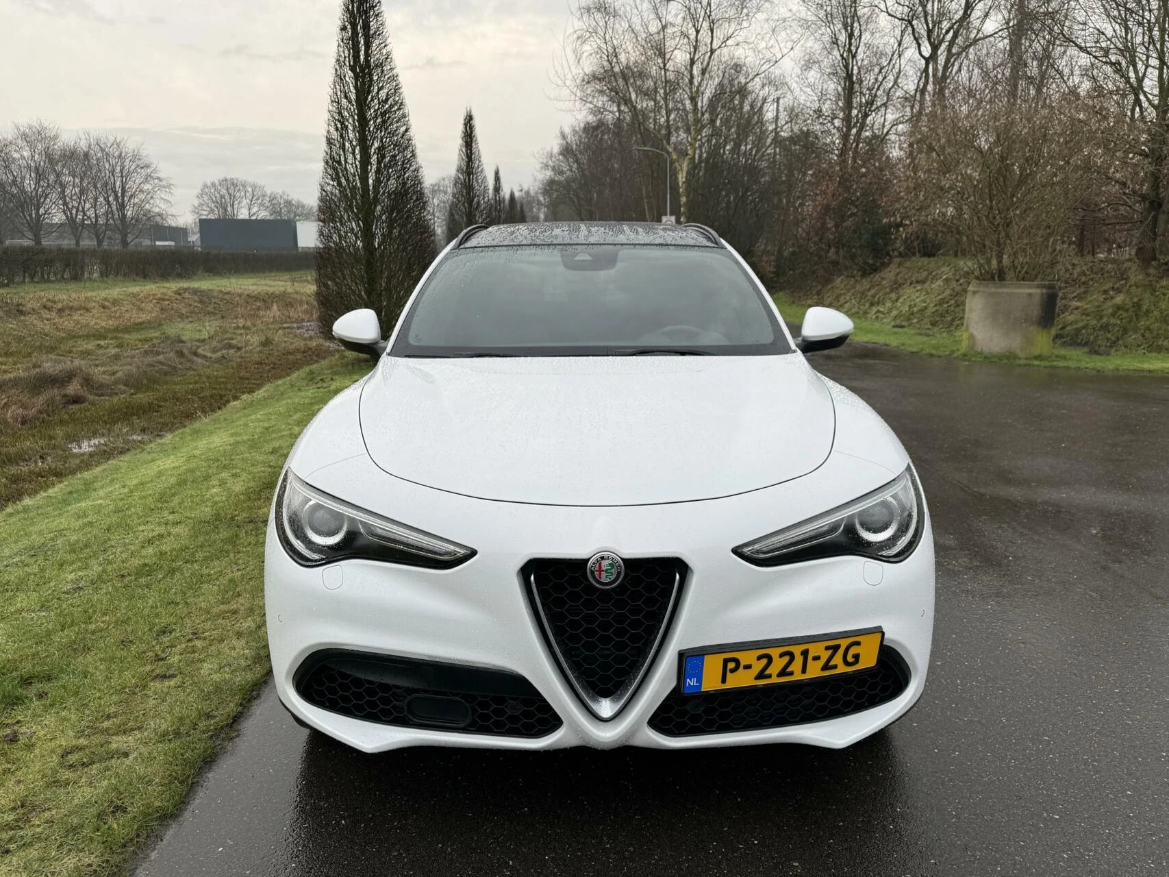 Hoofdafbeelding Alfa Romeo Stelvio