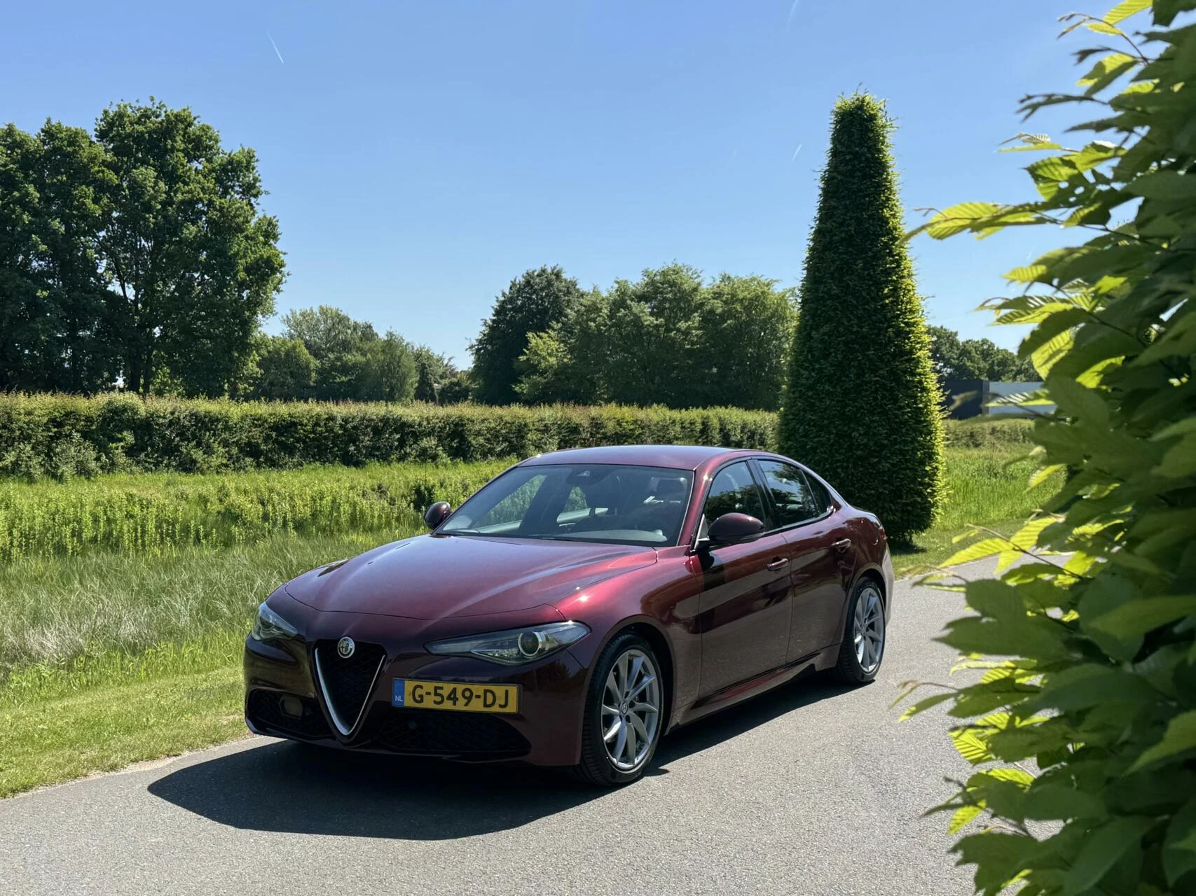 Hoofdafbeelding Alfa Romeo Giulia