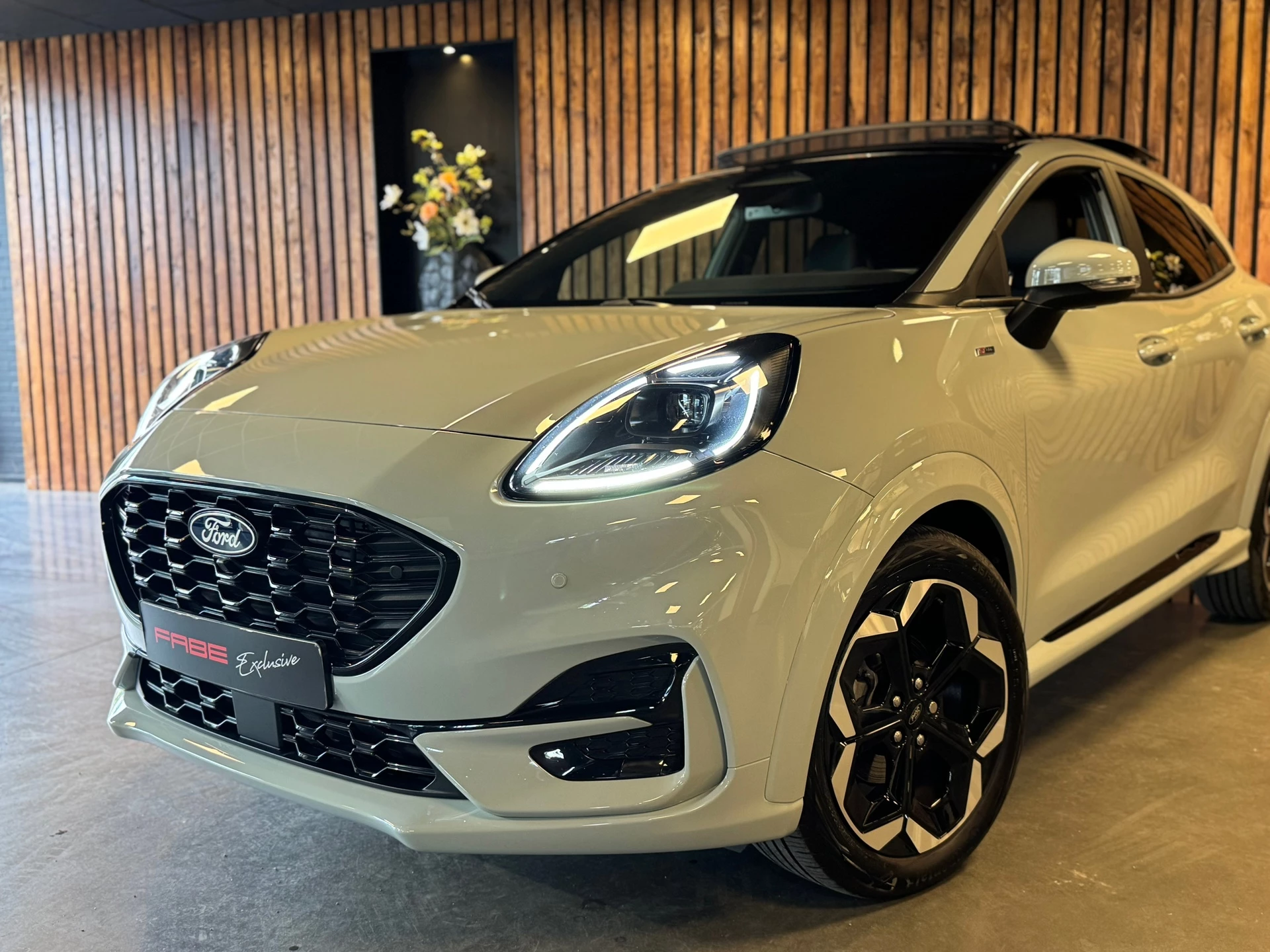 Hoofdafbeelding Ford Puma