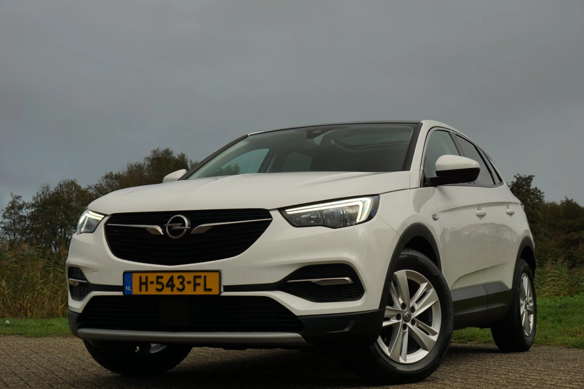 Hoofdafbeelding Opel Grandland X