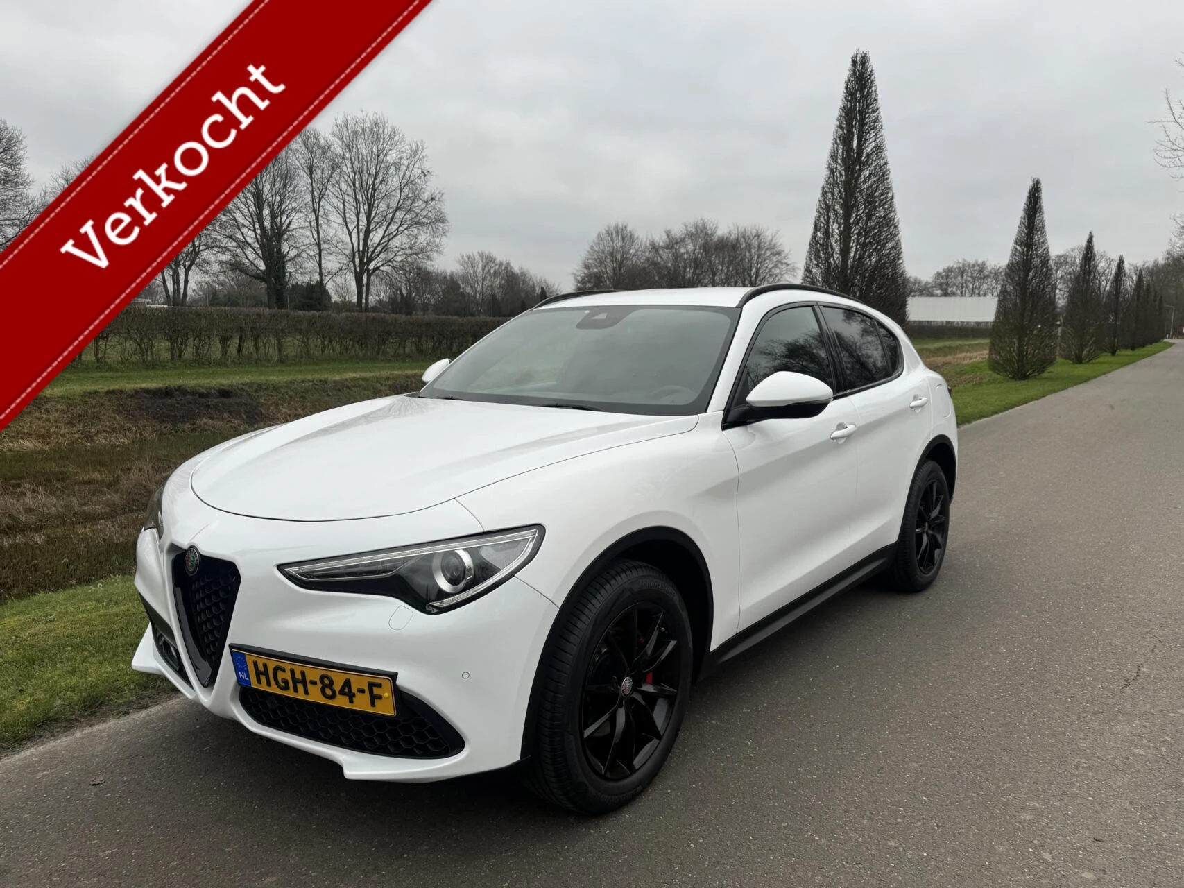 Hoofdafbeelding Alfa Romeo Stelvio