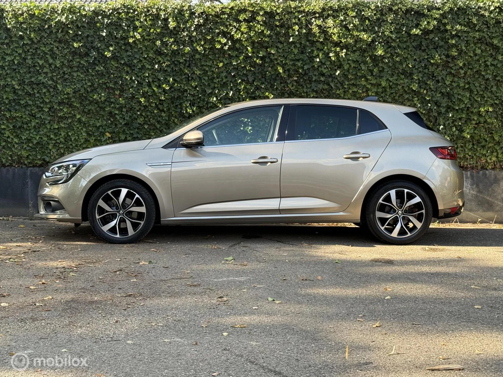 Hoofdafbeelding Renault Mégane