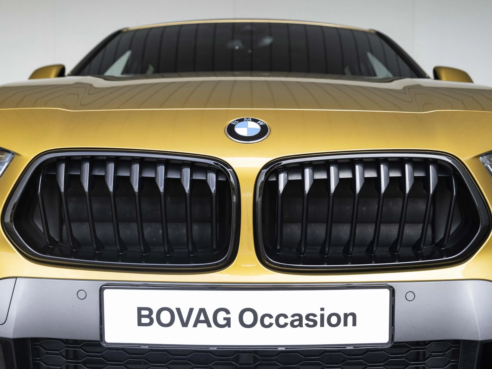 Hoofdafbeelding BMW X2