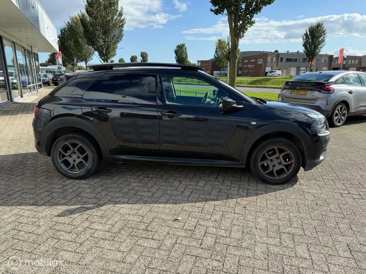 Hoofdafbeelding Citroën C4 Cactus