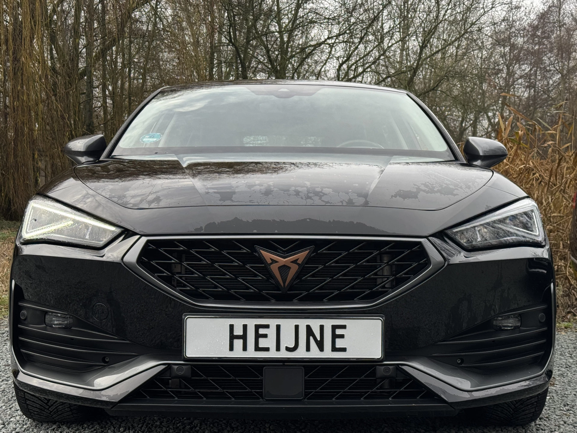 Hoofdafbeelding CUPRA Leon