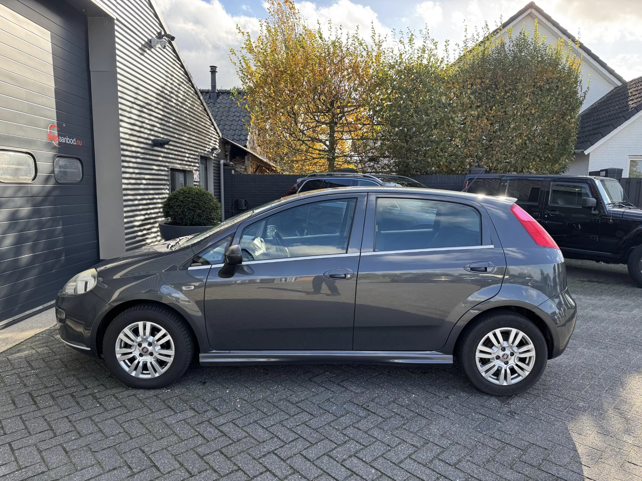 Hoofdafbeelding Fiat Punto