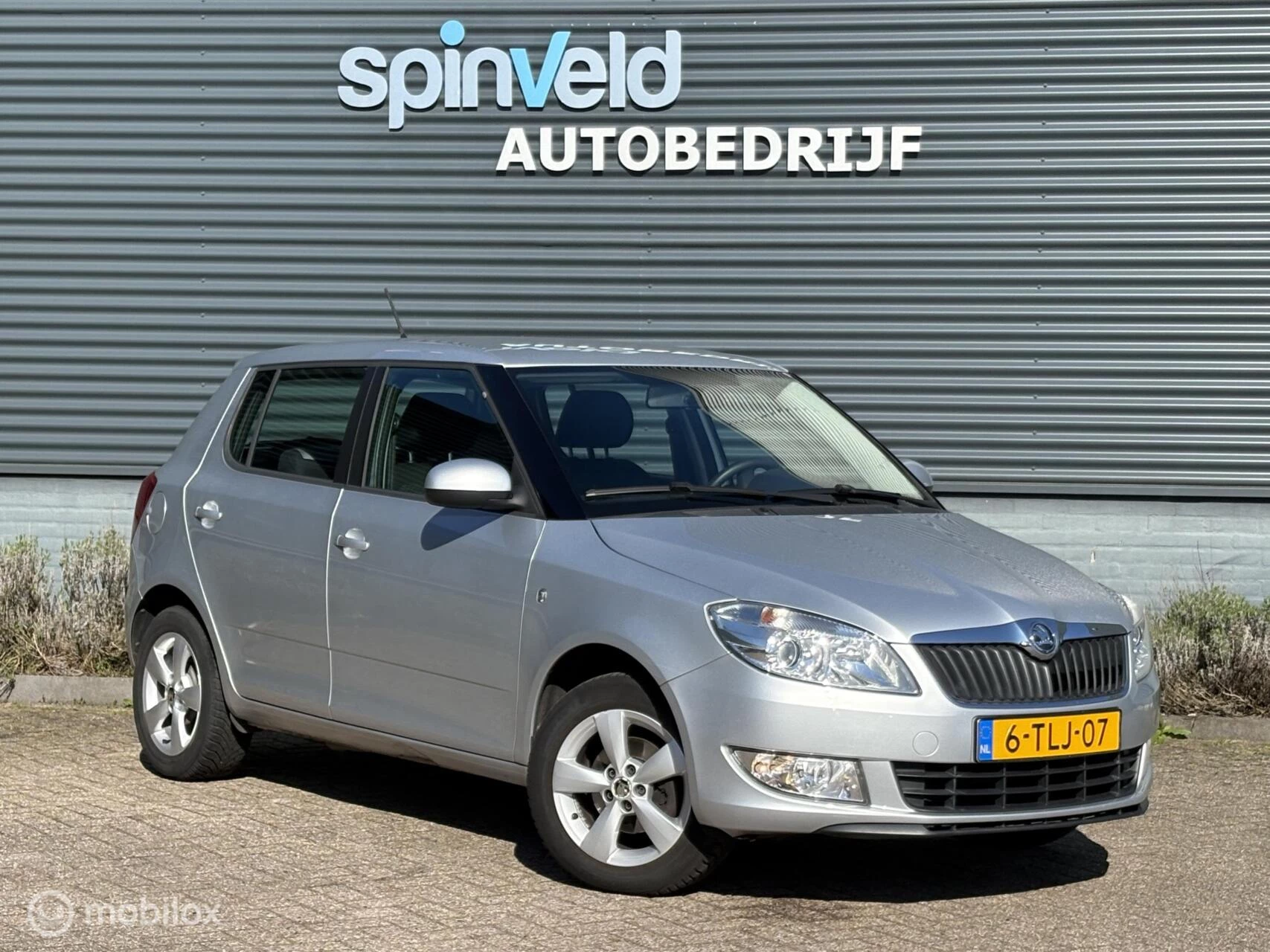 Hoofdafbeelding Škoda Fabia