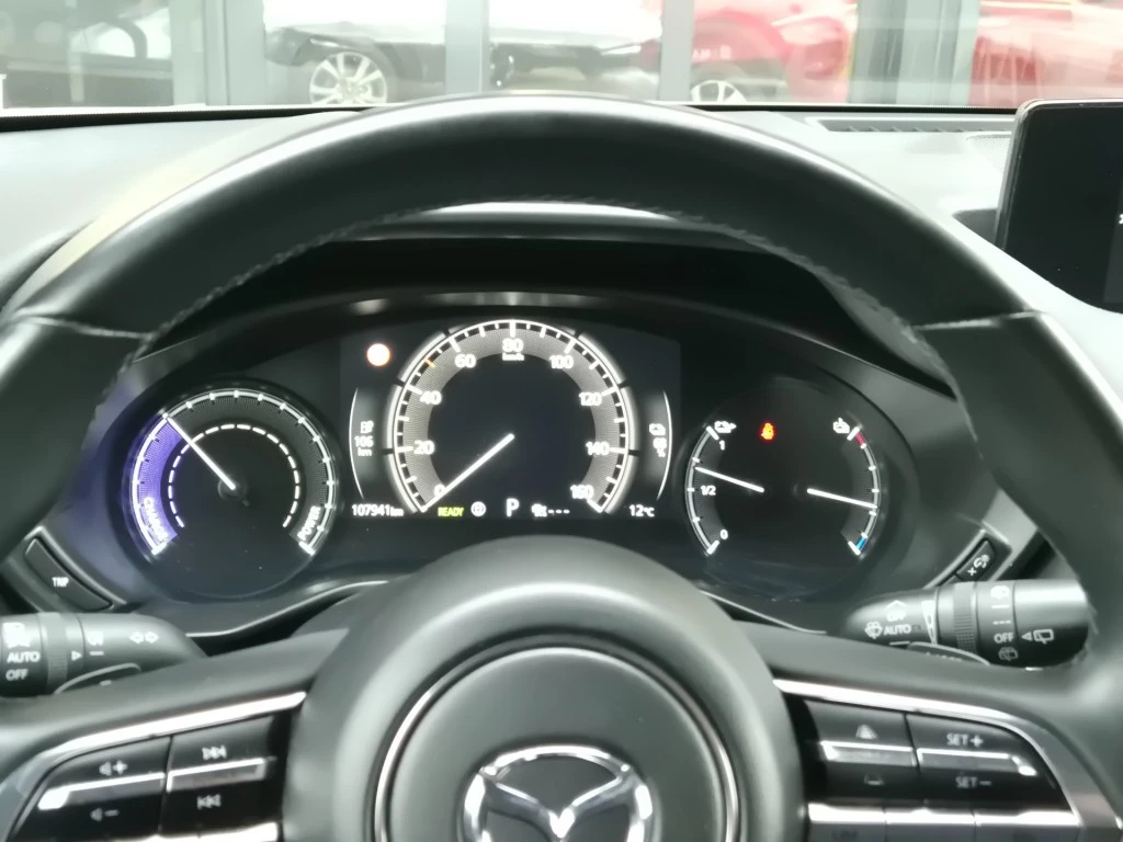 Hoofdafbeelding Mazda MX-30