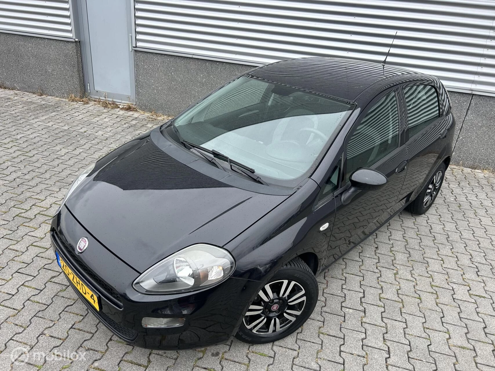 Hoofdafbeelding Fiat Punto