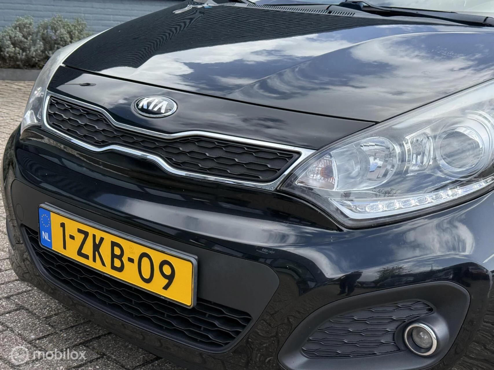 Hoofdafbeelding Kia Rio