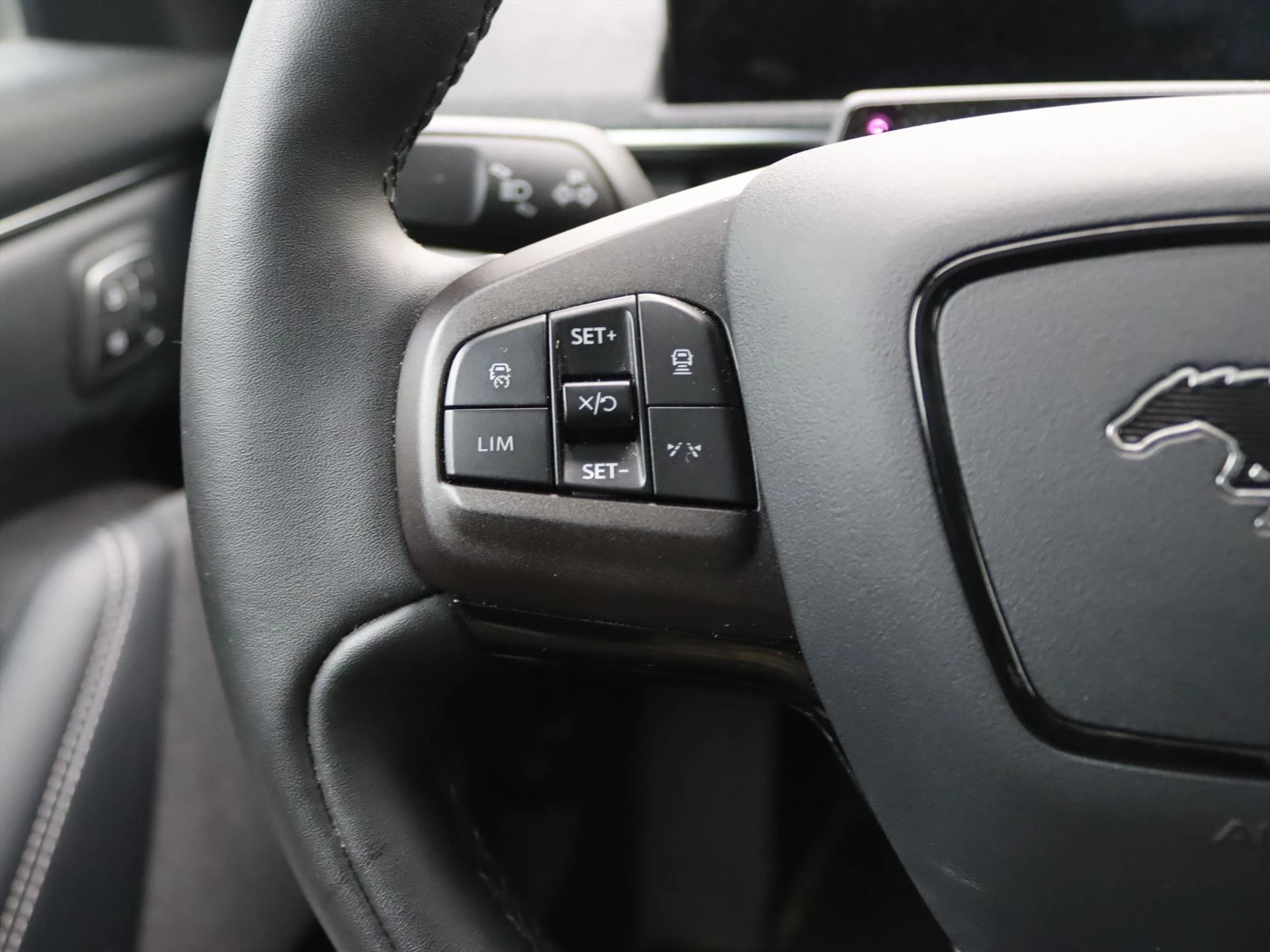 Hoofdafbeelding Ford Mustang Mach-E