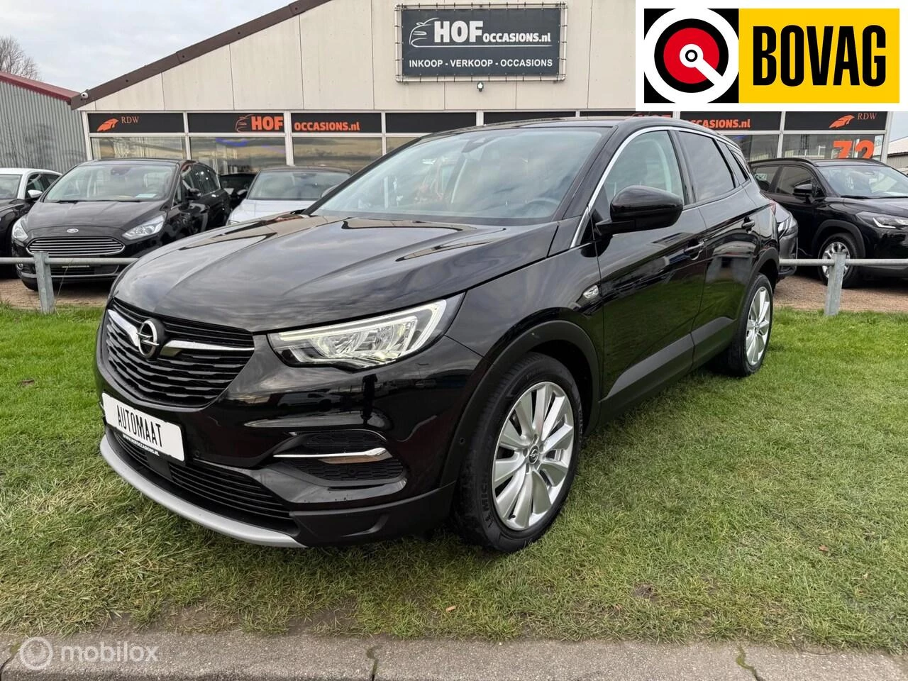 Hoofdafbeelding Opel Grandland X