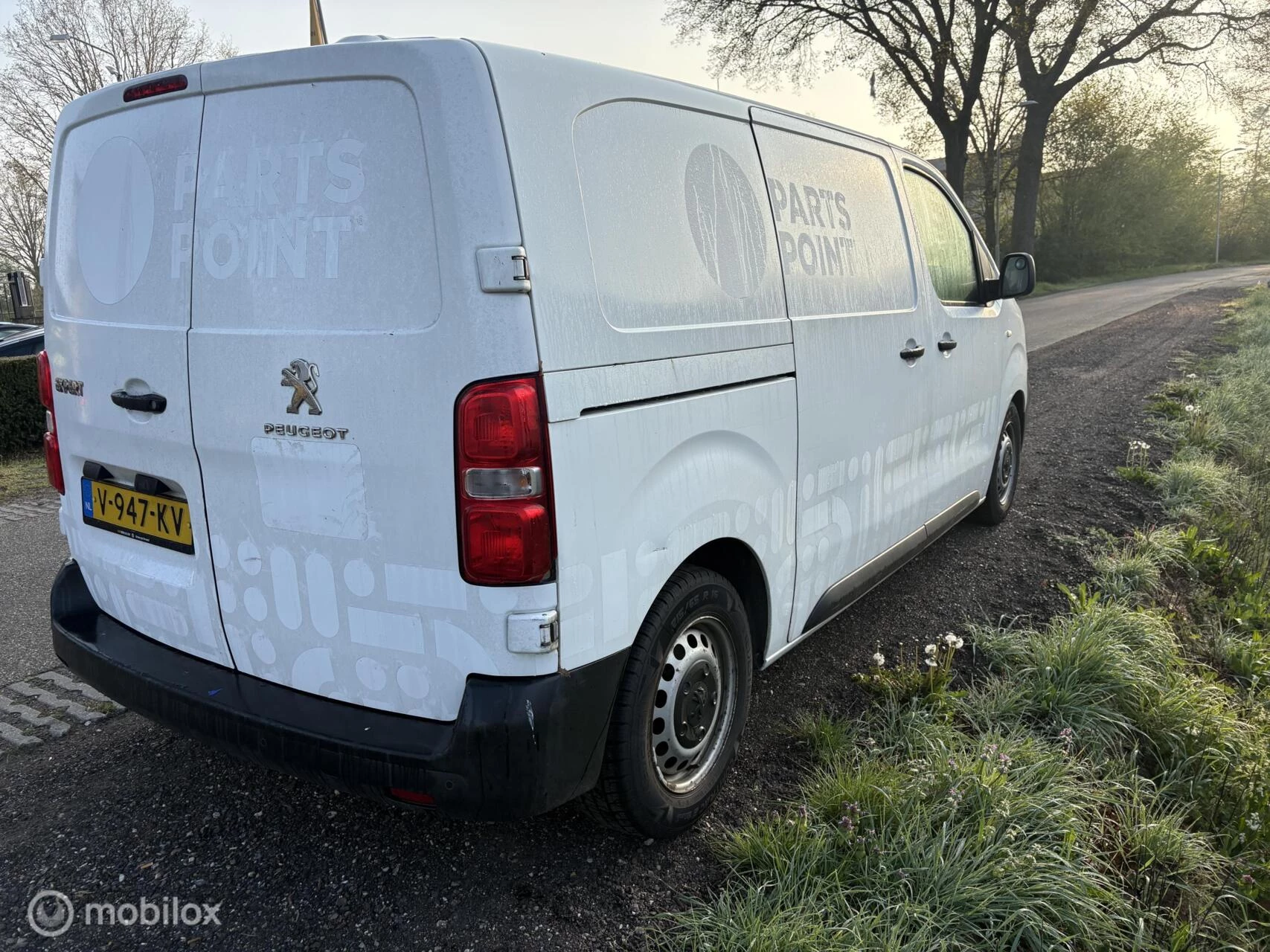 Hoofdafbeelding Peugeot Expert