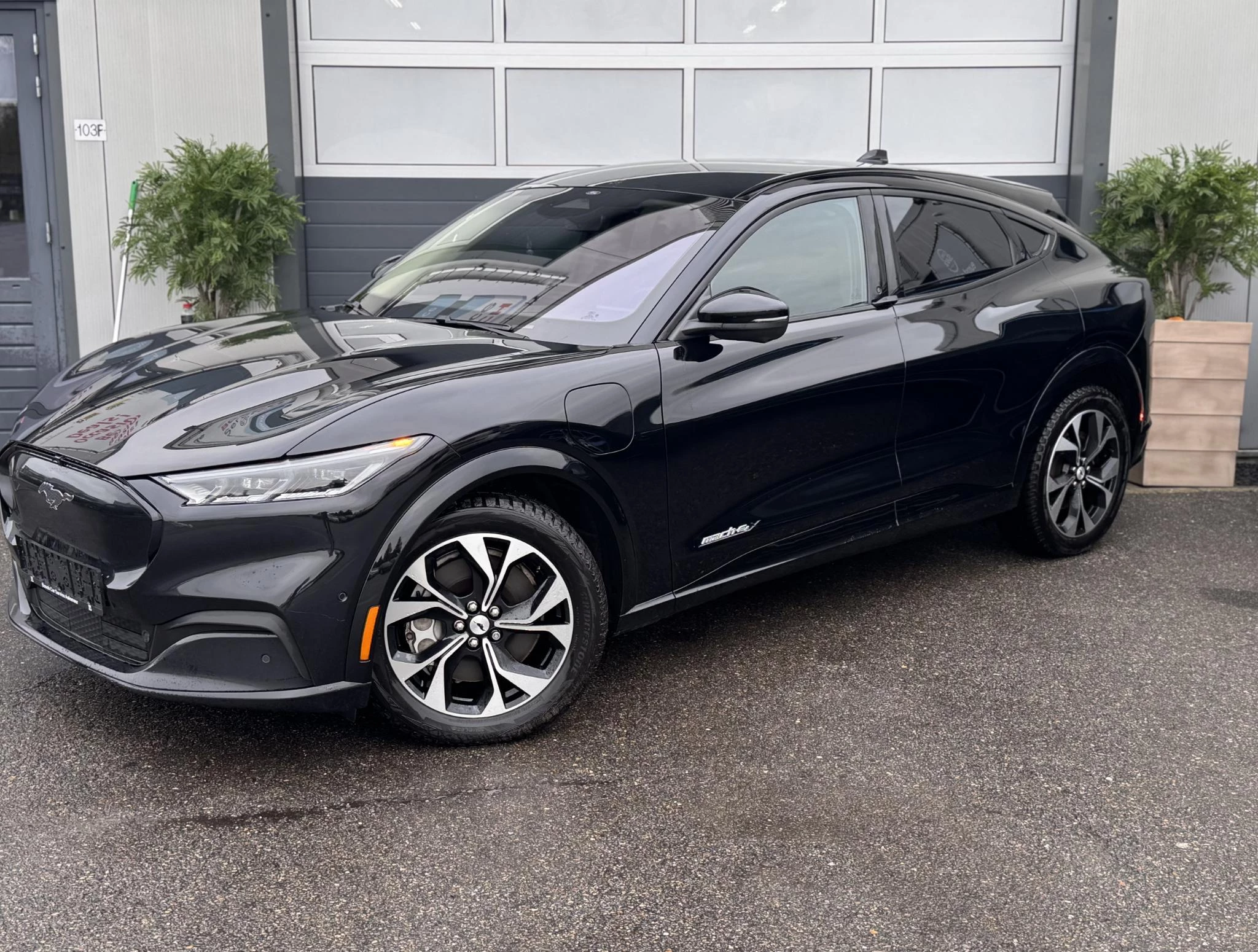 Hoofdafbeelding Ford Mustang Mach-E