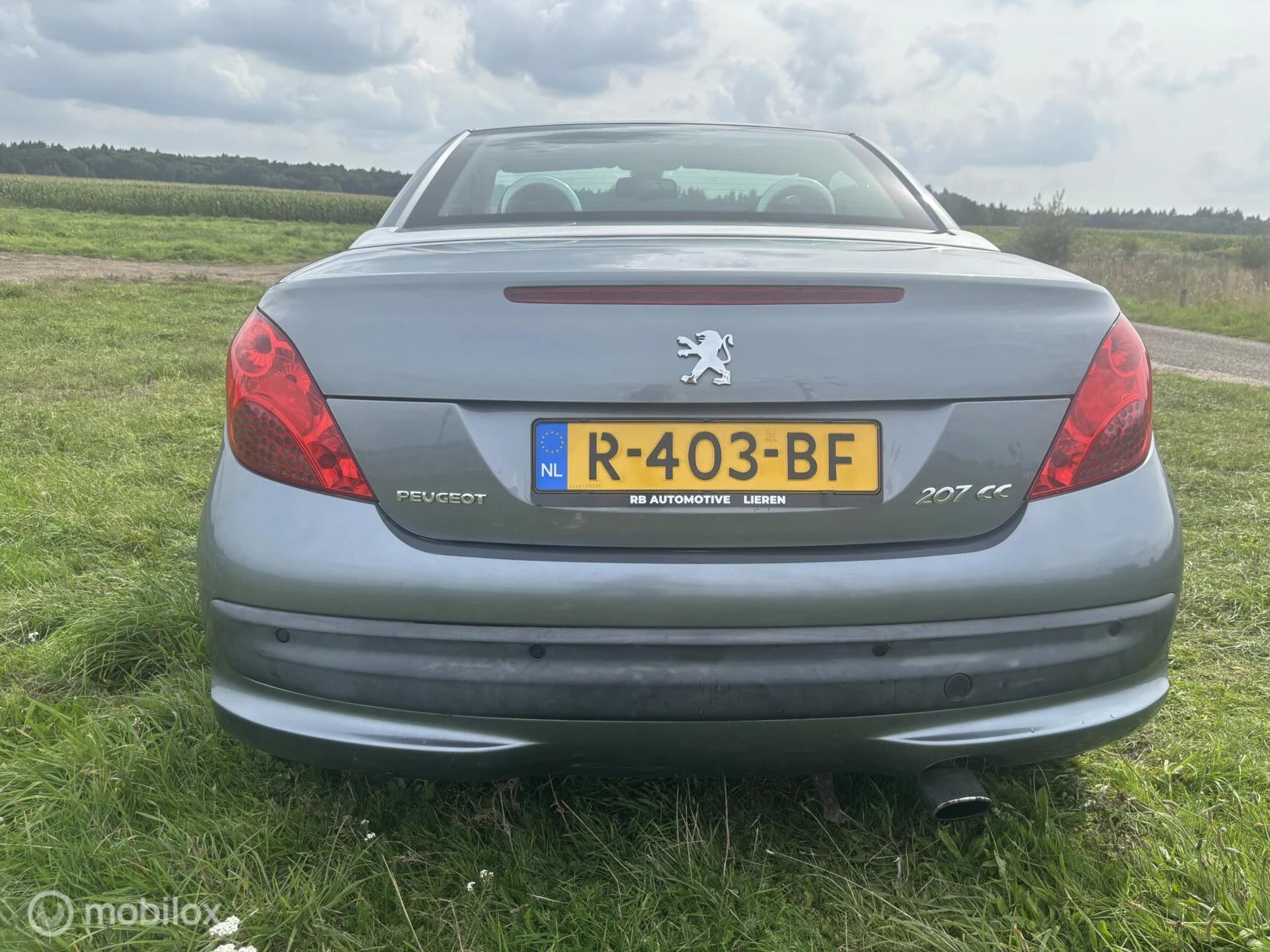 Hoofdafbeelding Peugeot 207