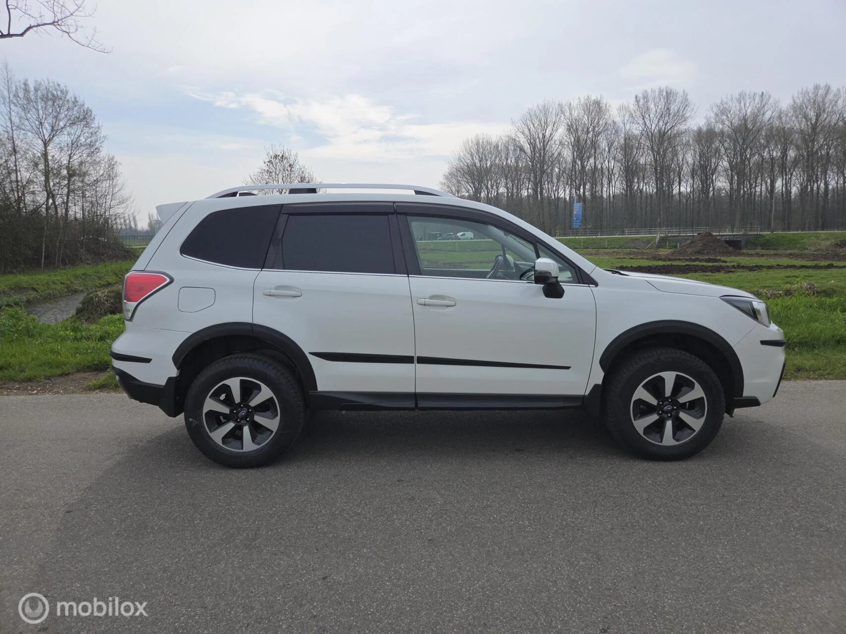 Hoofdafbeelding Subaru Forester