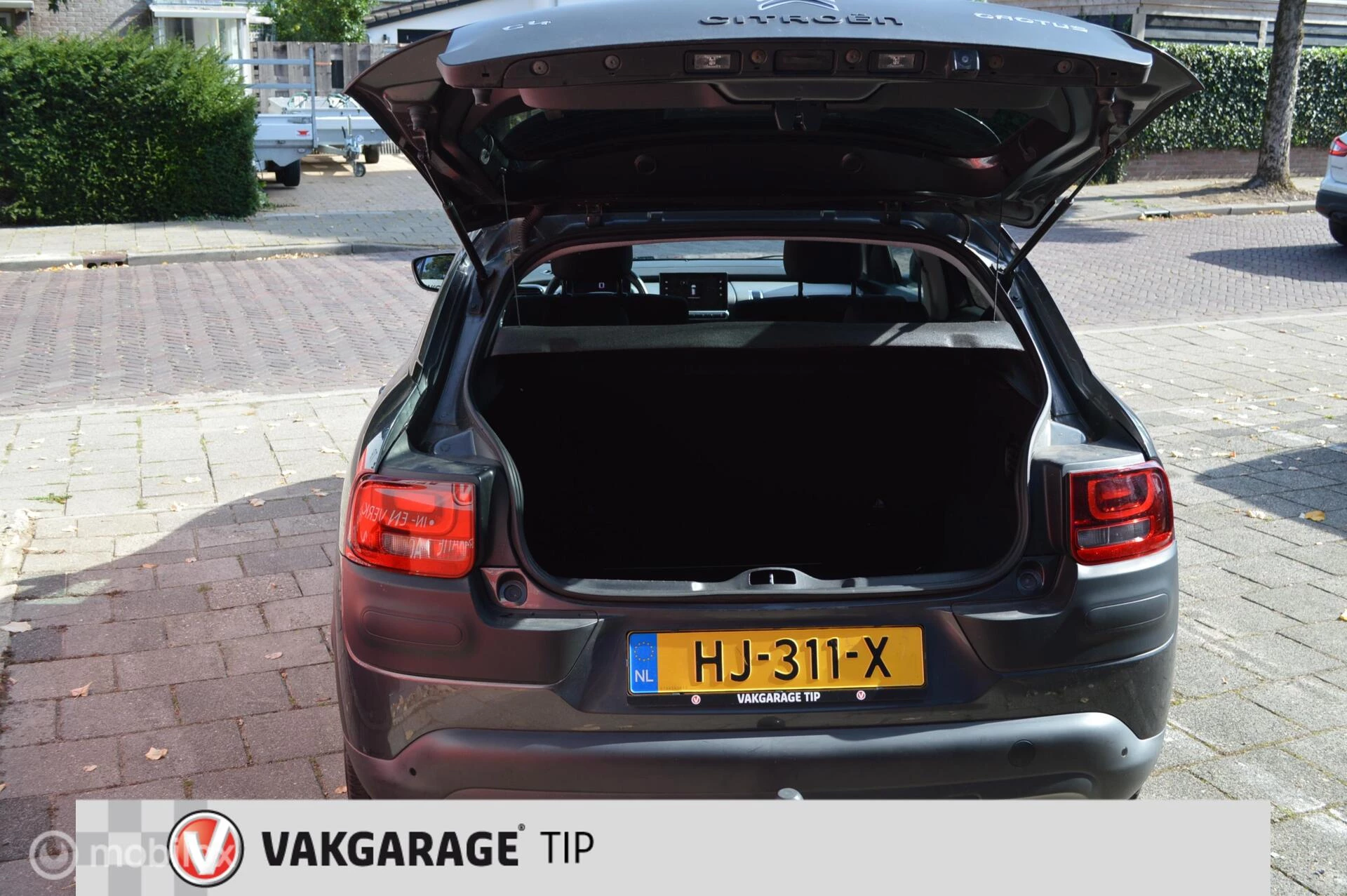 Hoofdafbeelding Citroën C4 Cactus