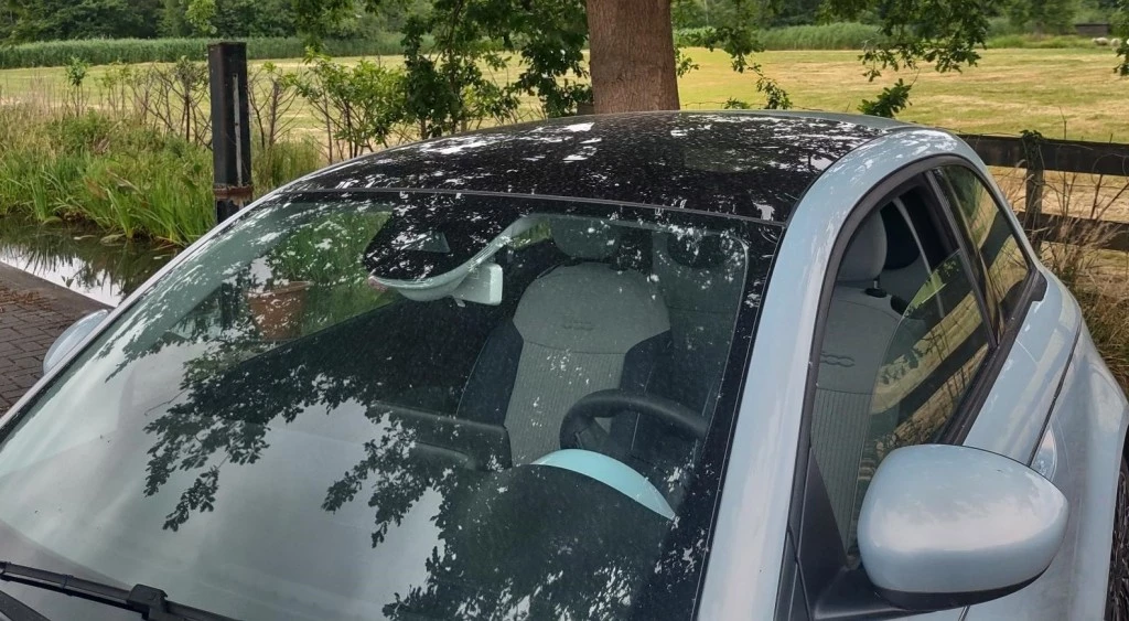 Hoofdafbeelding Fiat 500e