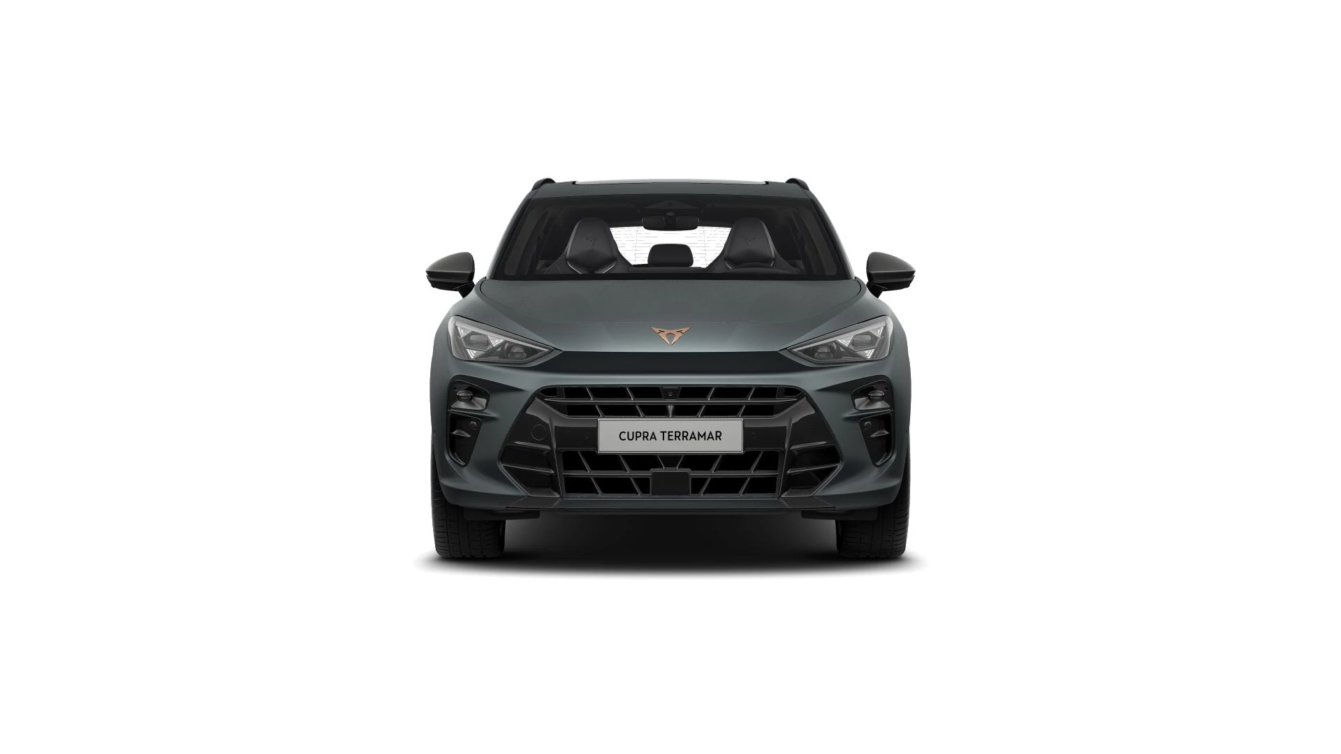 Hoofdafbeelding CUPRA Terramar
