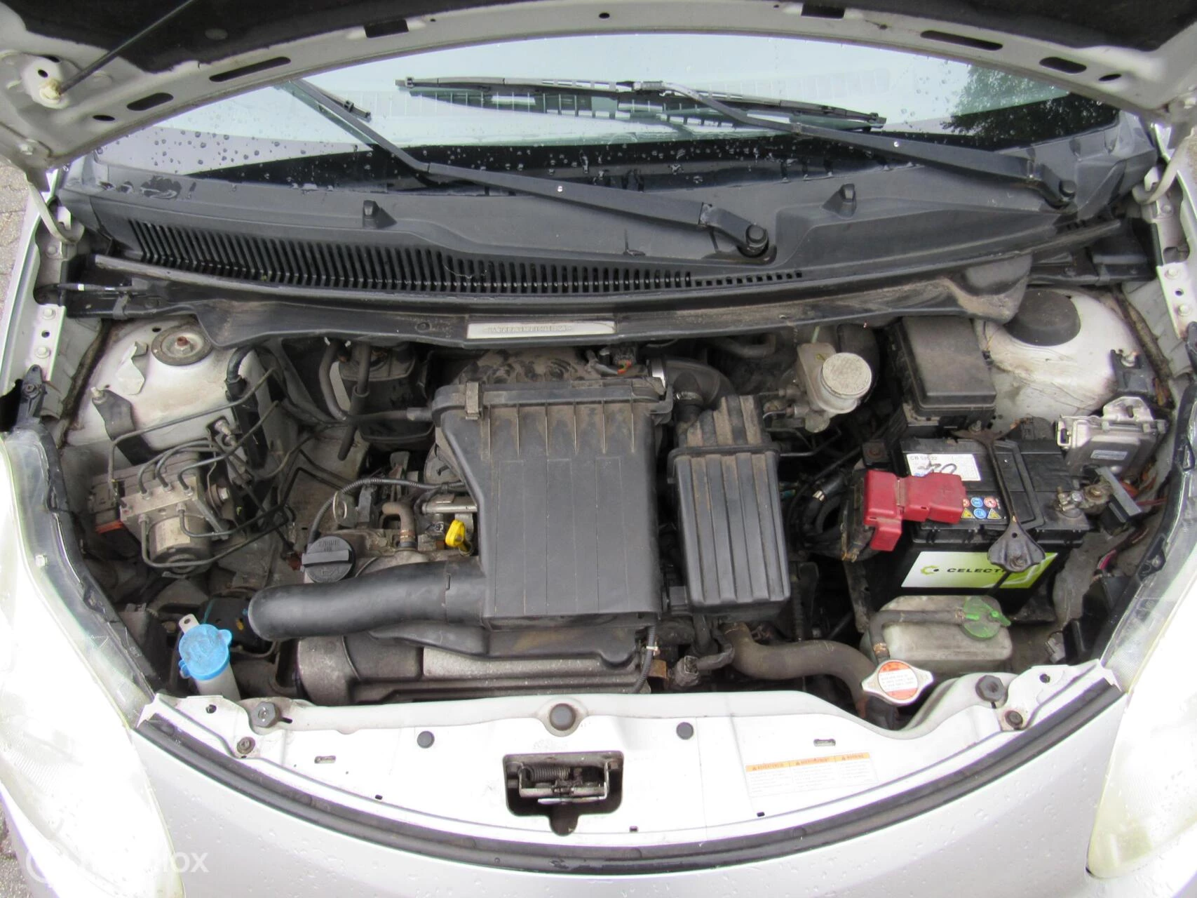 Hoofdafbeelding Suzuki Alto