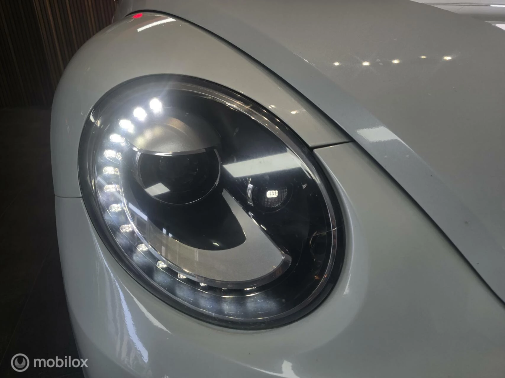 Hoofdafbeelding Volkswagen Beetle