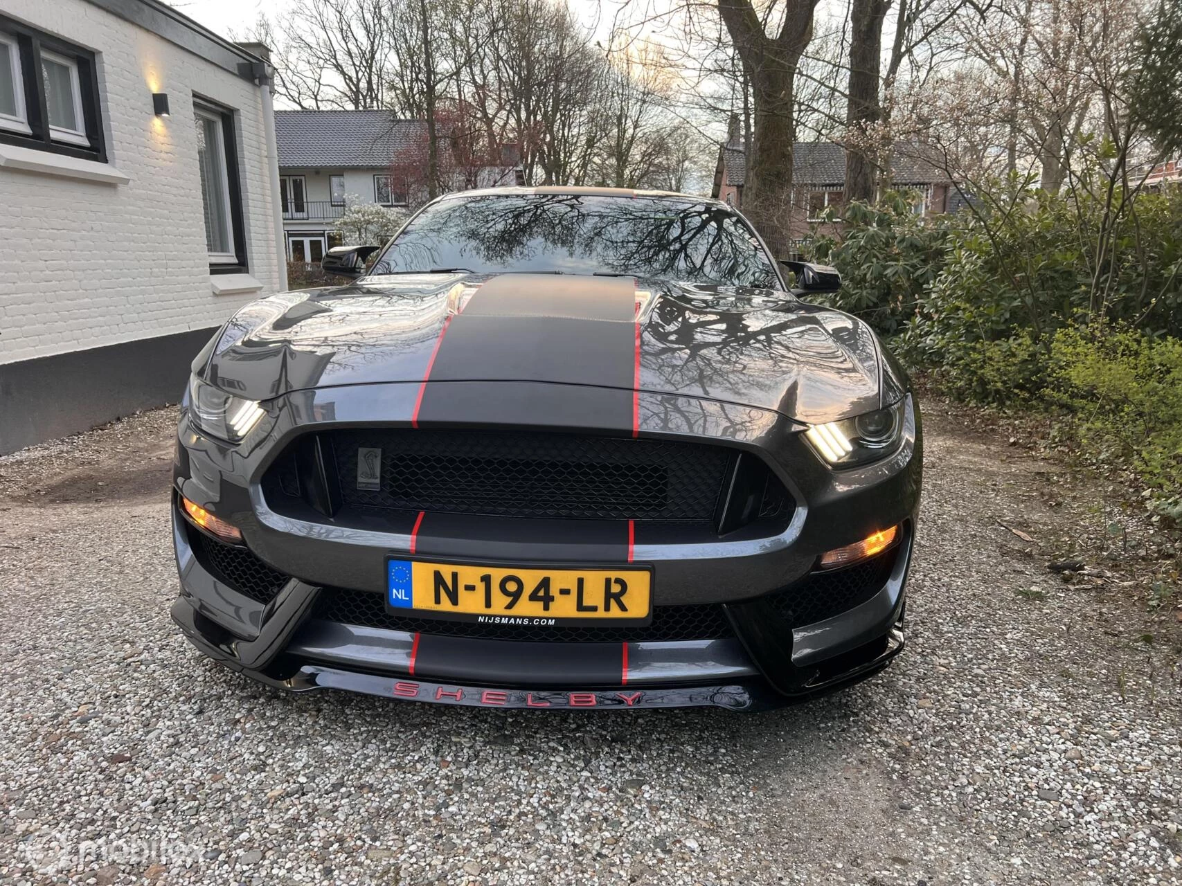 Hoofdafbeelding Ford GT