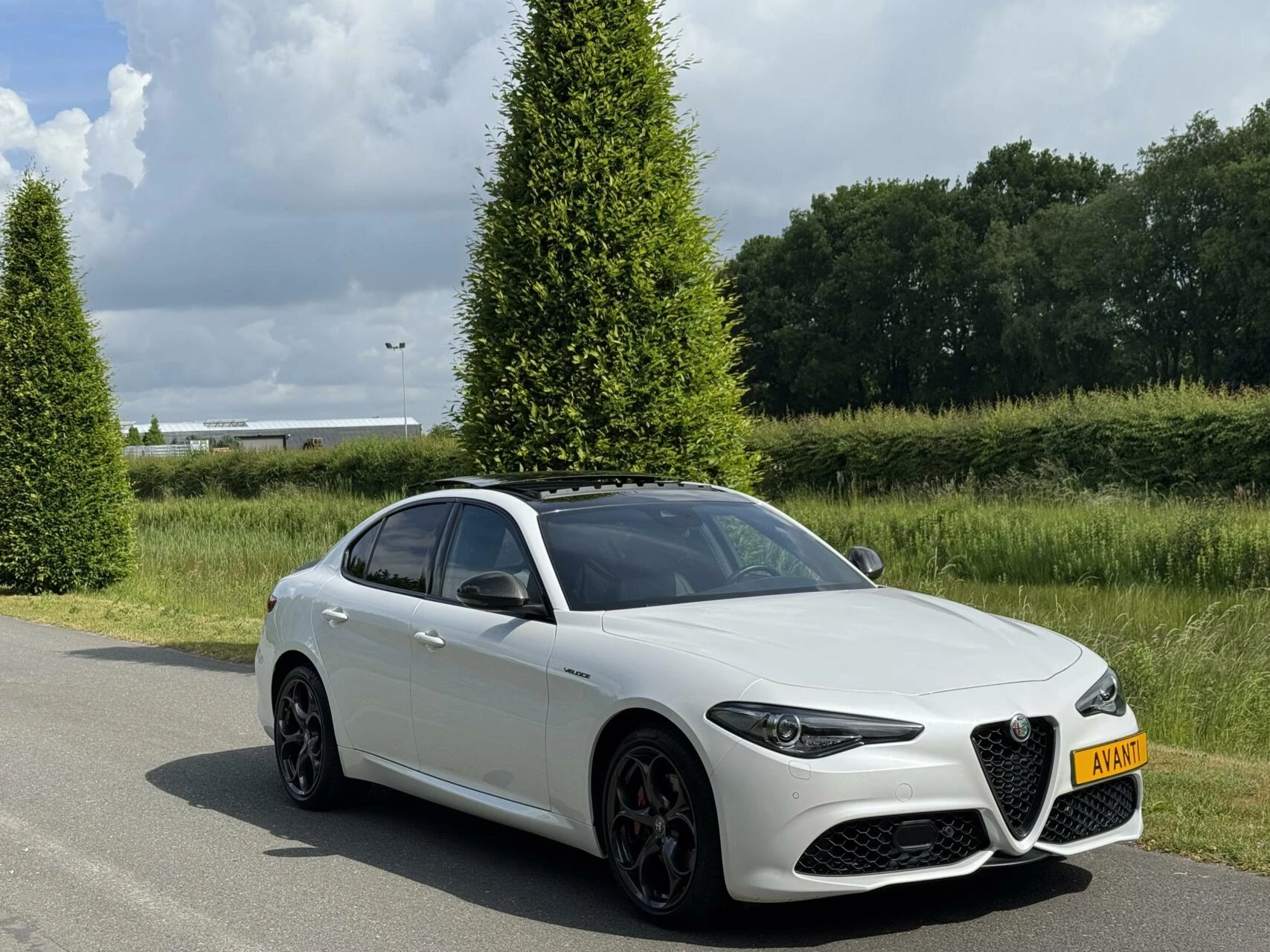 Hoofdafbeelding Alfa Romeo Giulia